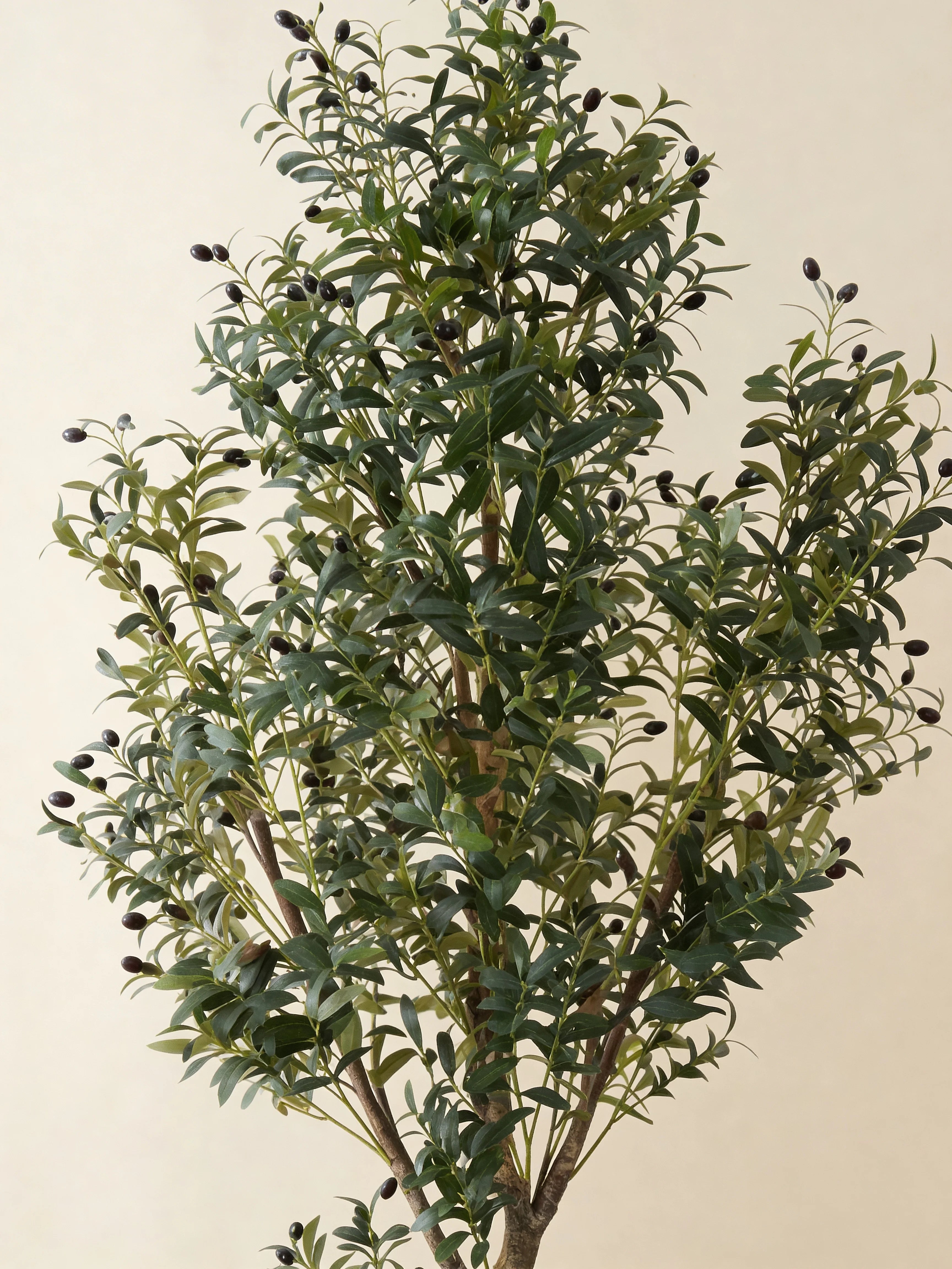 Silk artificial olive tree with dual-stem trunk, close-up detail