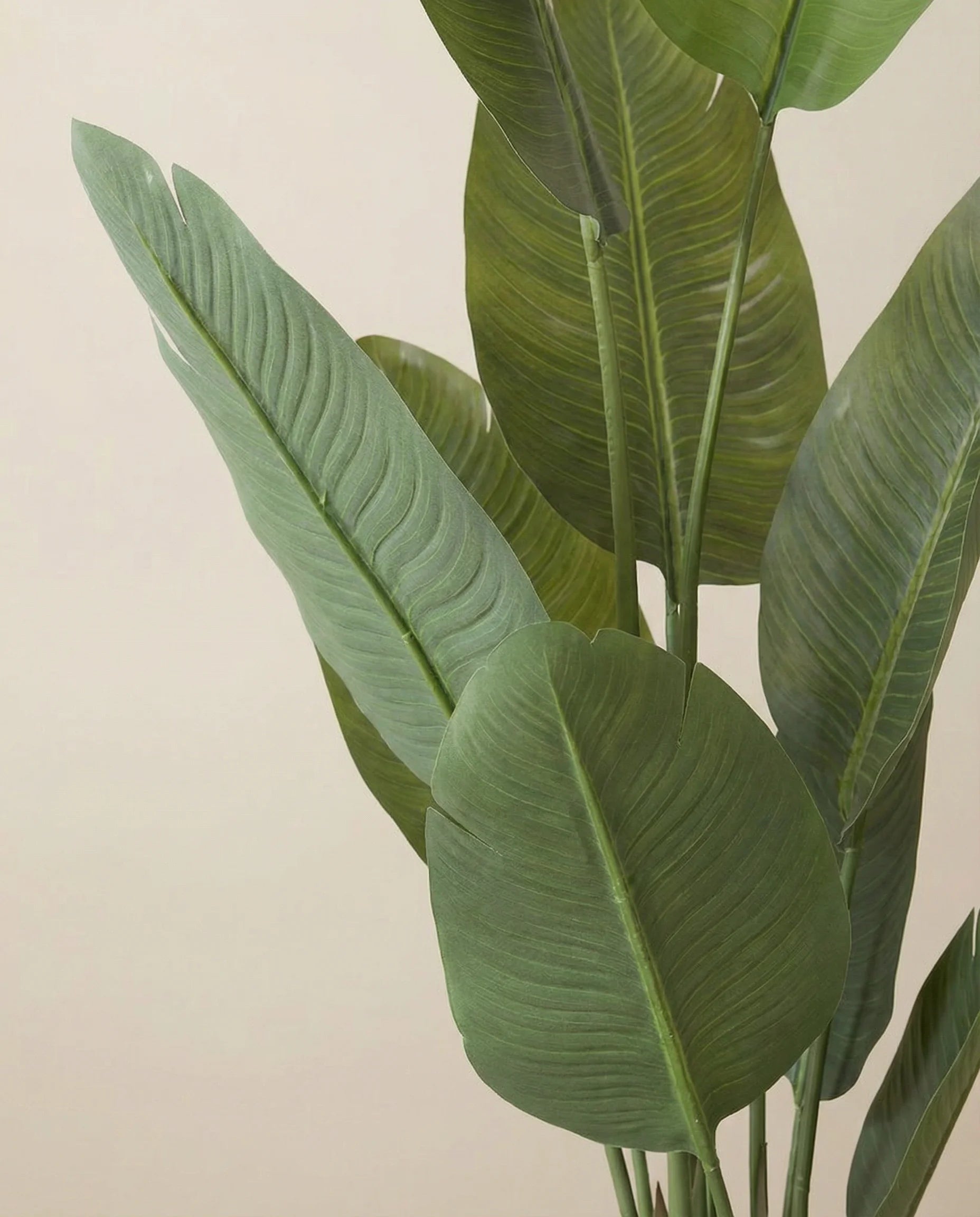 Artificial Strelitzia Nicolai Plant