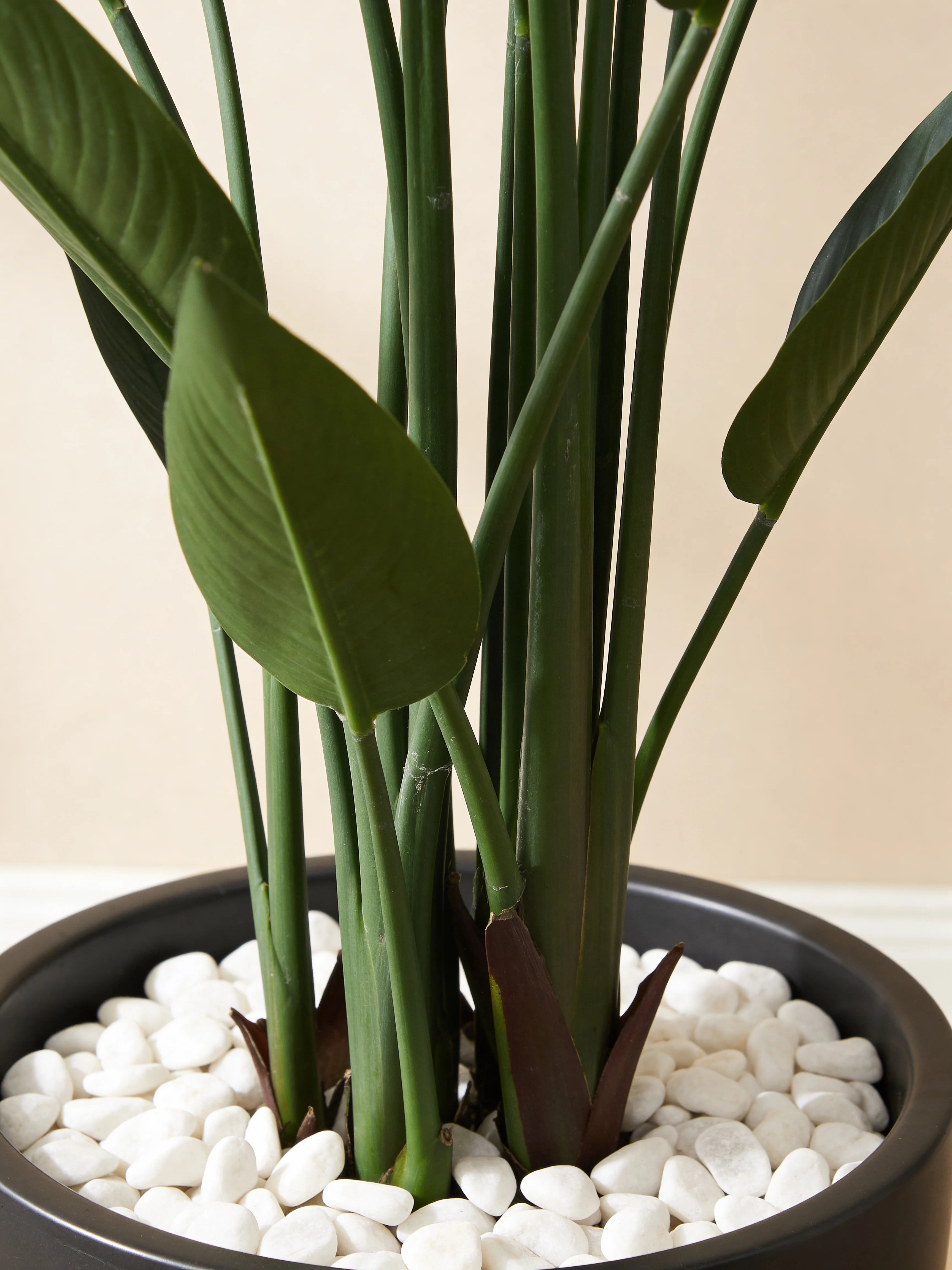 Strelitzia Reginae artificial plant in a Dubai living room
