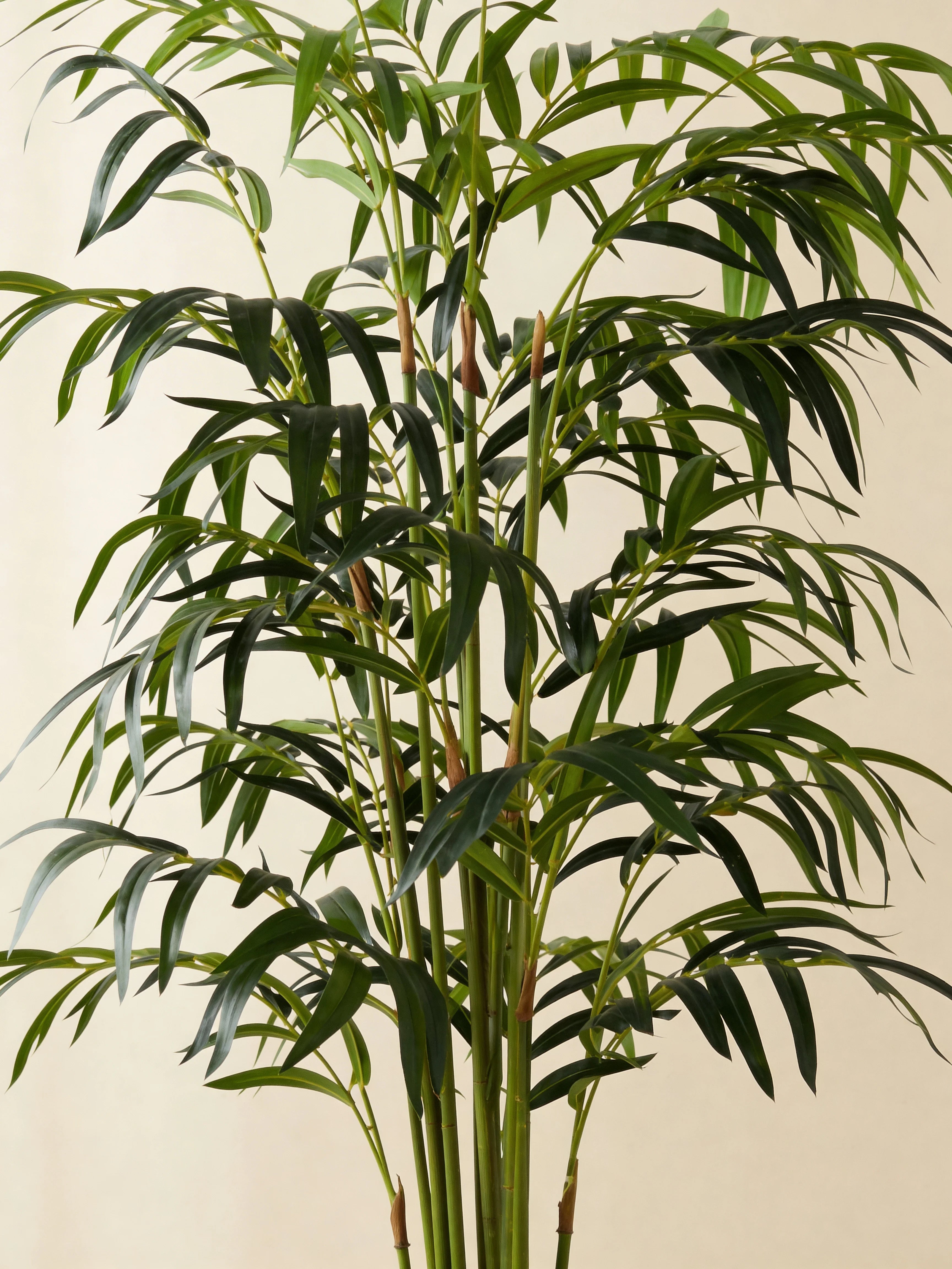 Artificial Weeping Bamboo Plant - Green Stemmed