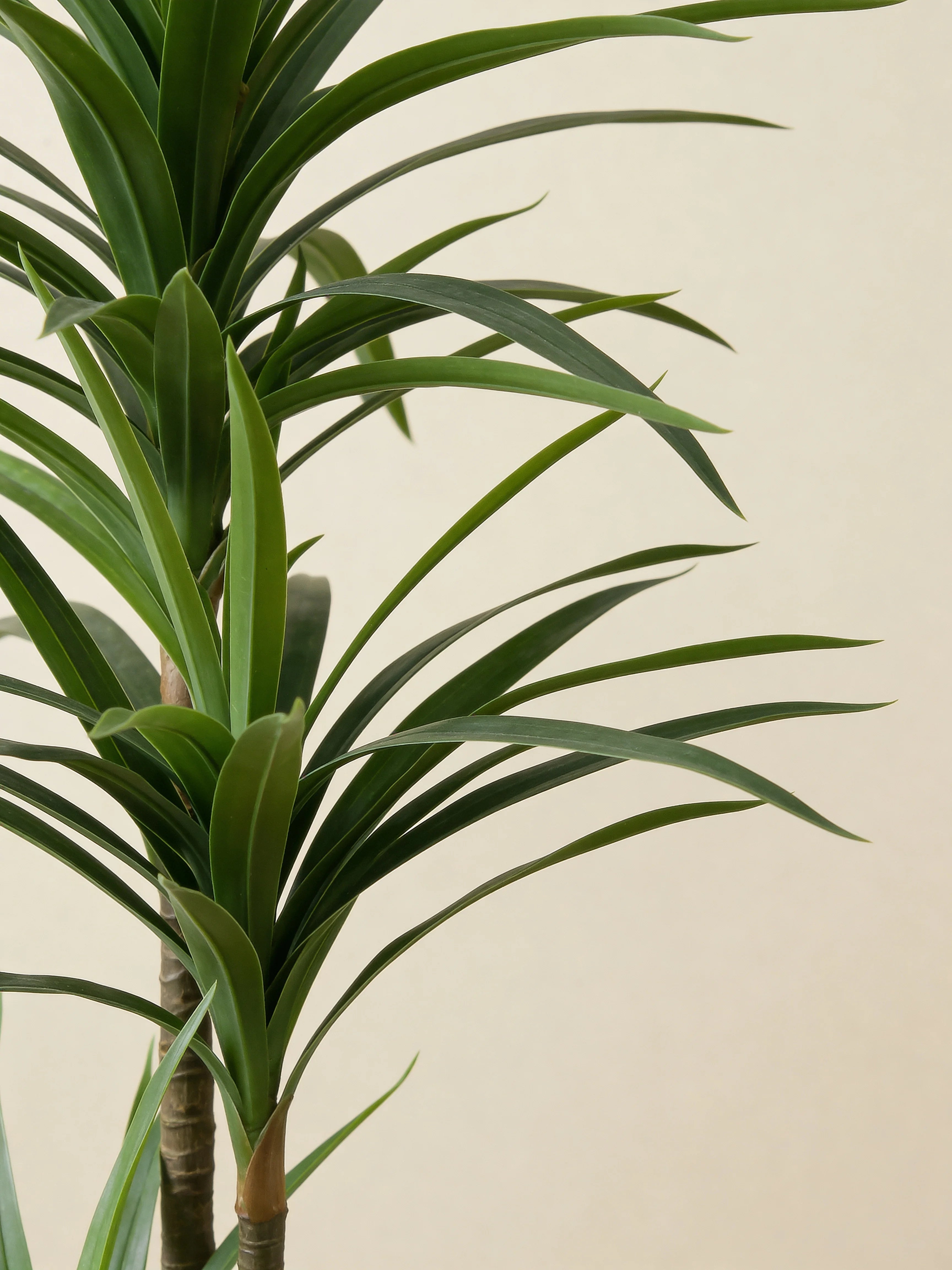 Yucca palm lily artificial tree, close-up detail