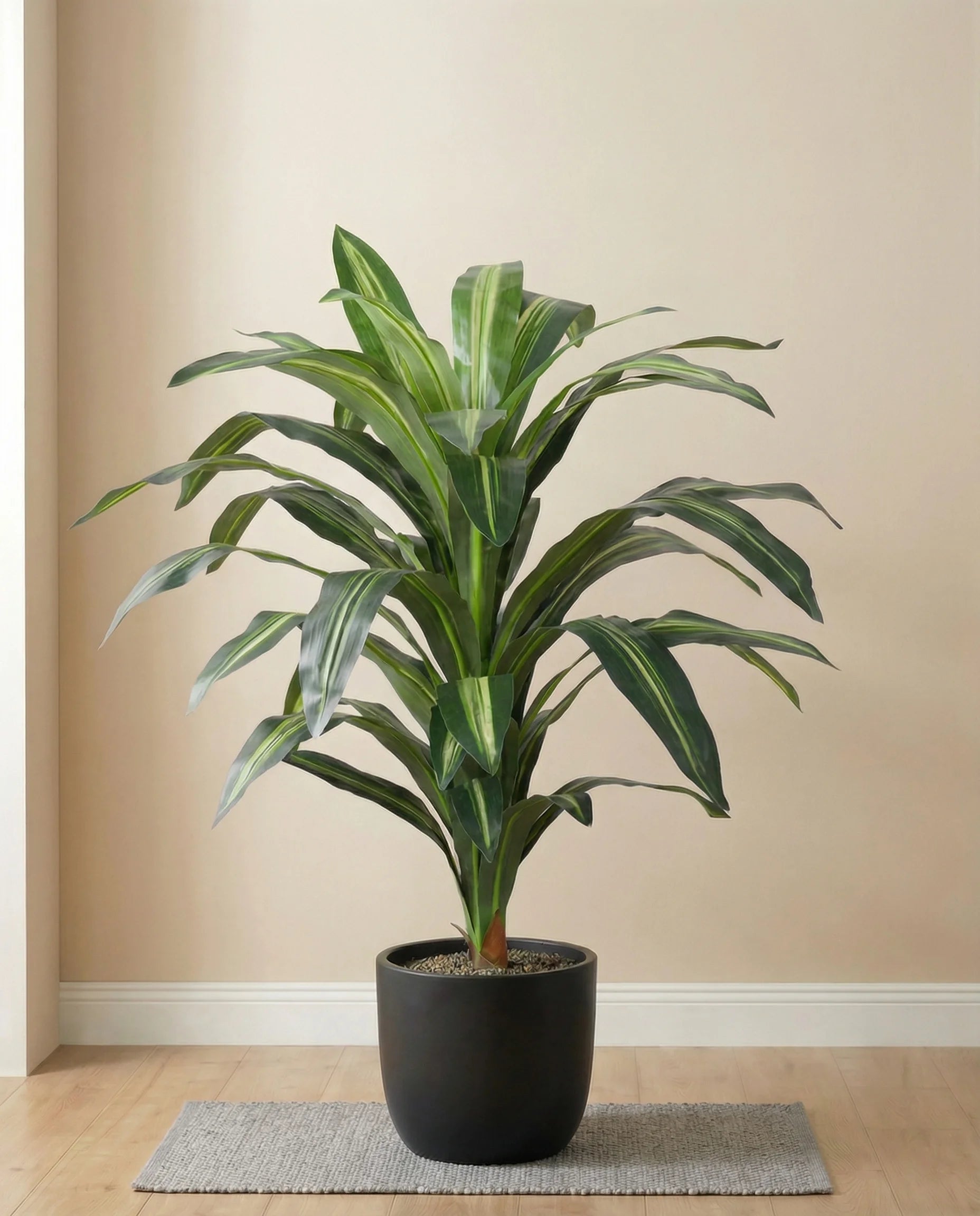 Dracaena Lisa artificial plant