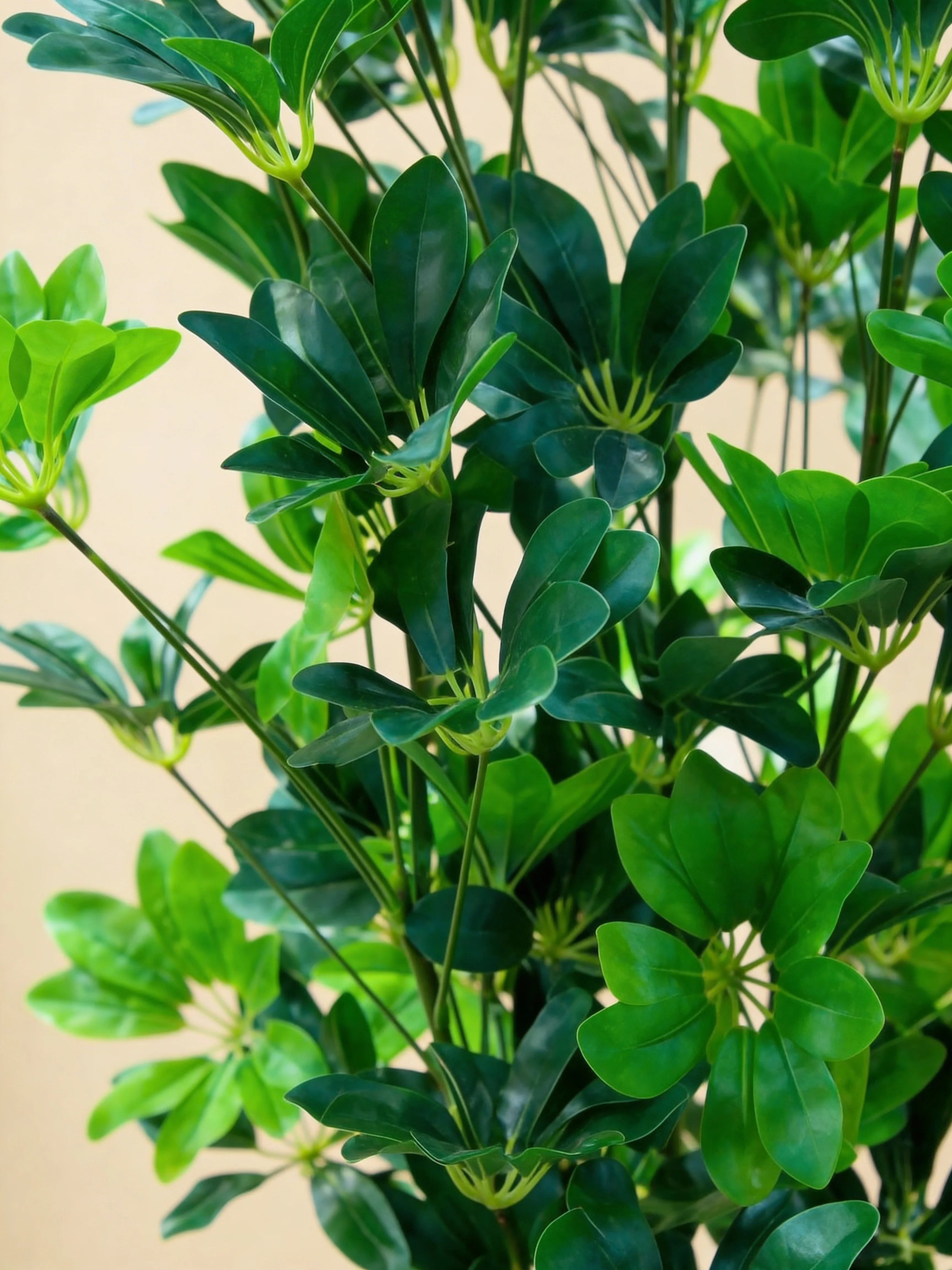 EVA schefflera artificial tree, close-up detail