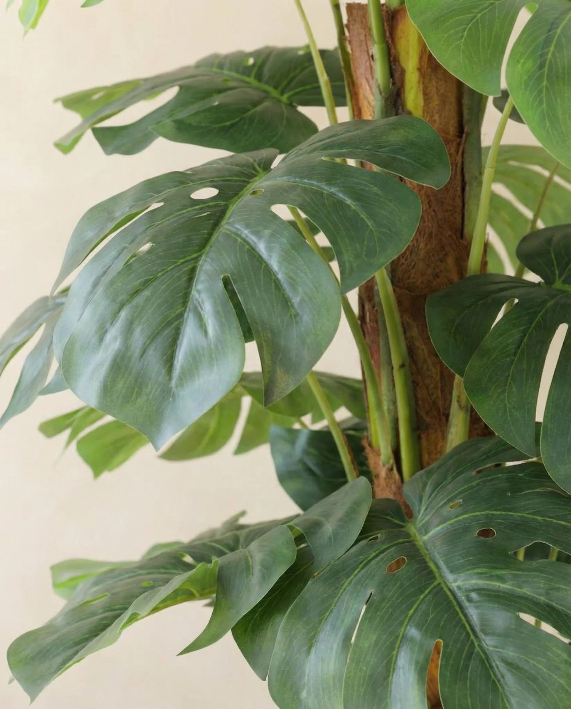 Giant Monstera Deliciosa artificial plant, close-up detail