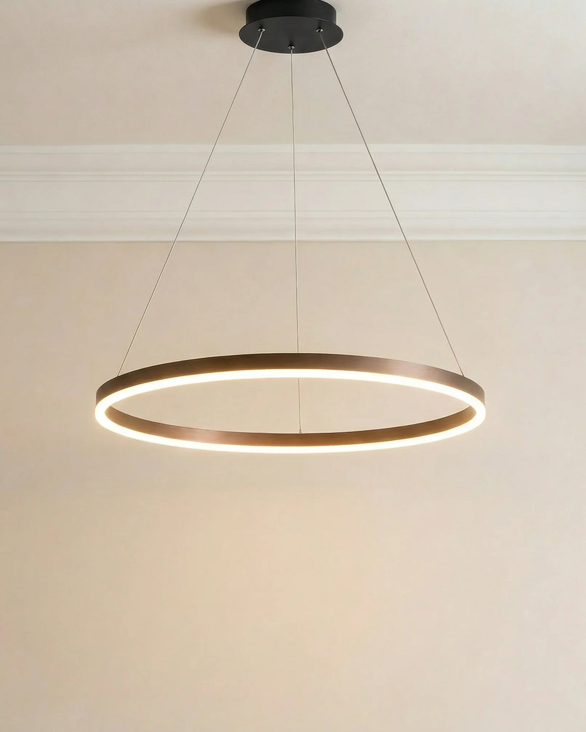 Modern ring LED pendant light