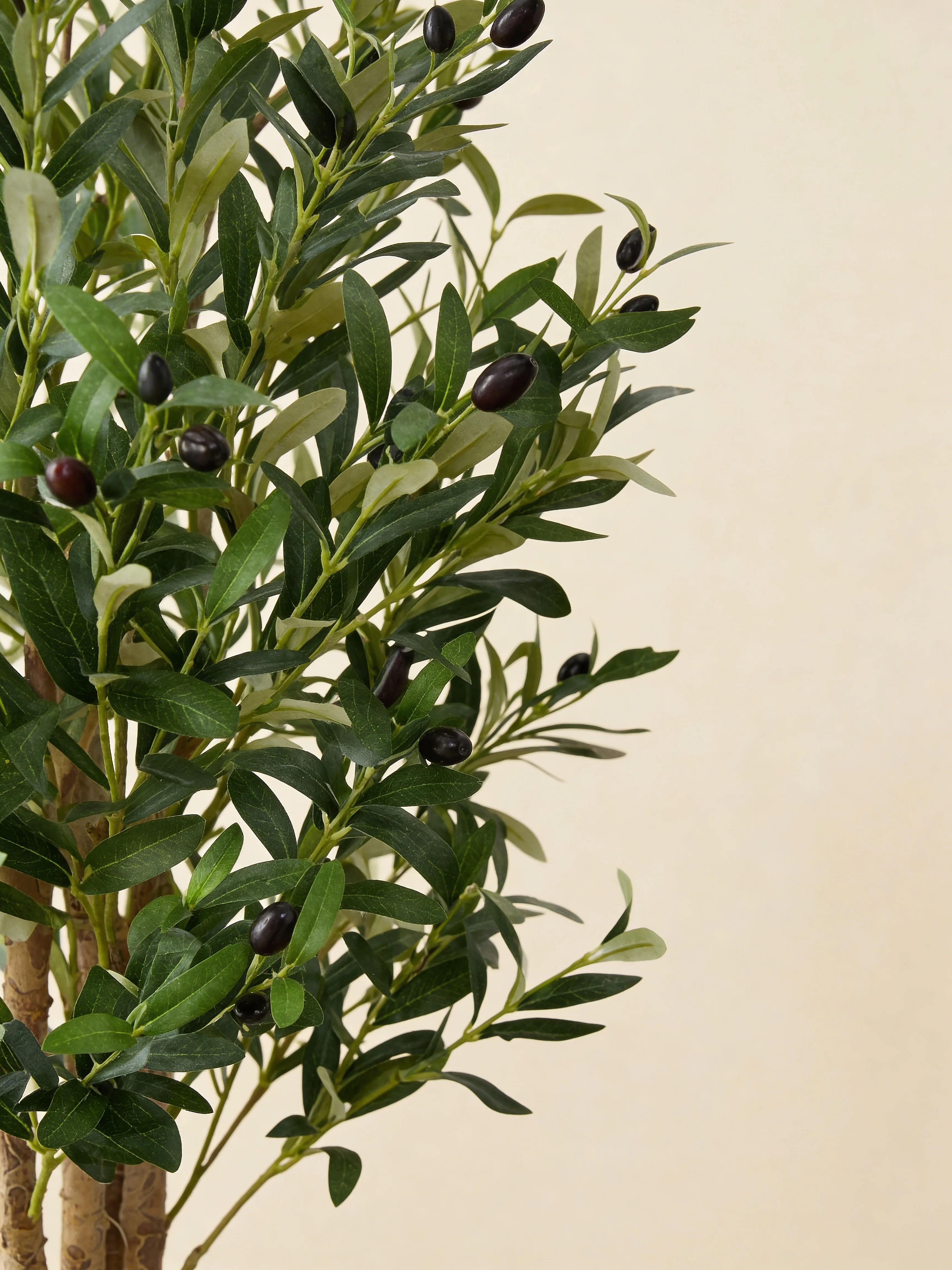Olive Artifical Plant Multi Natural Trunk