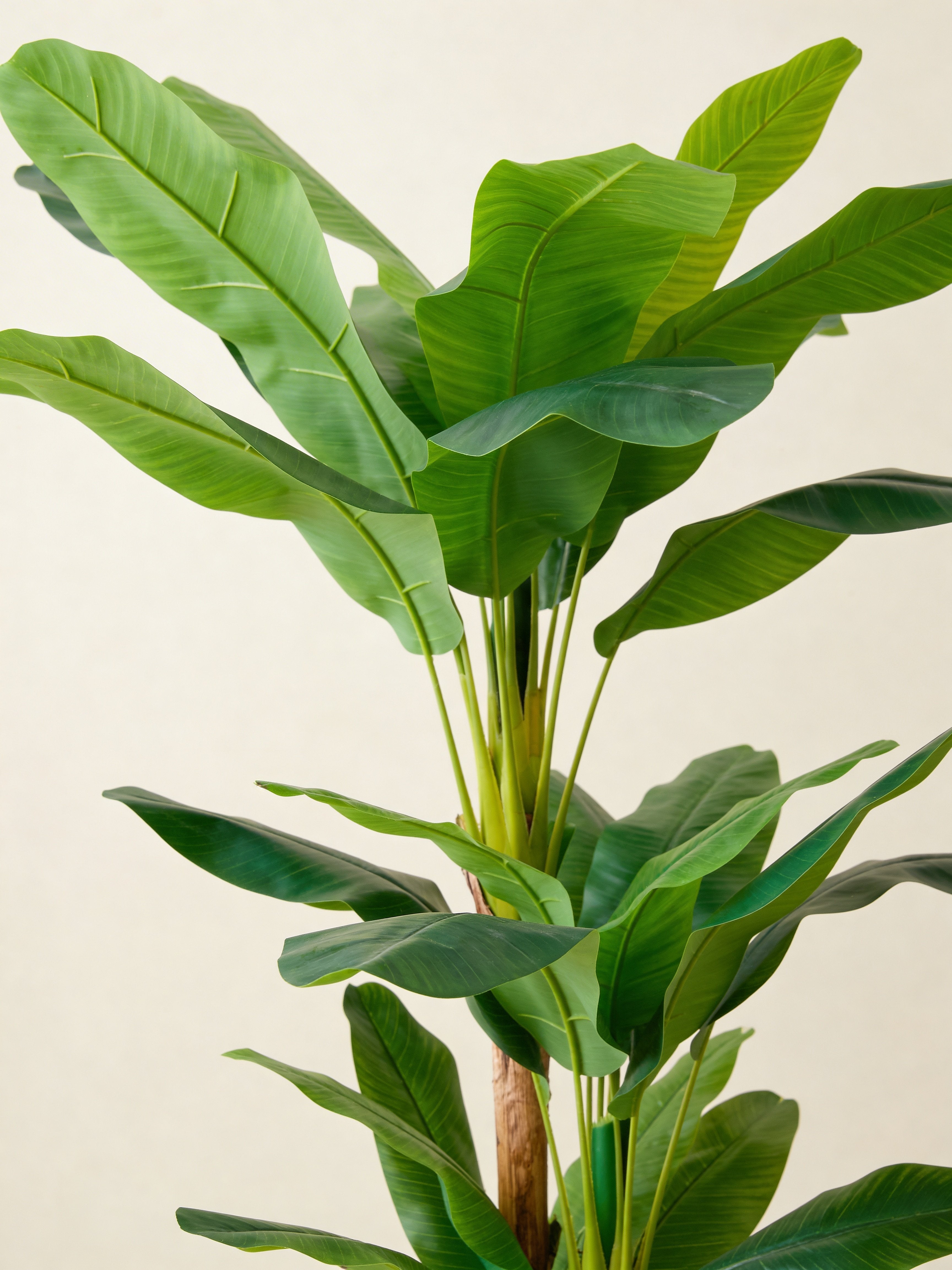 Triple-trunk artificial banana tree, close-up detail