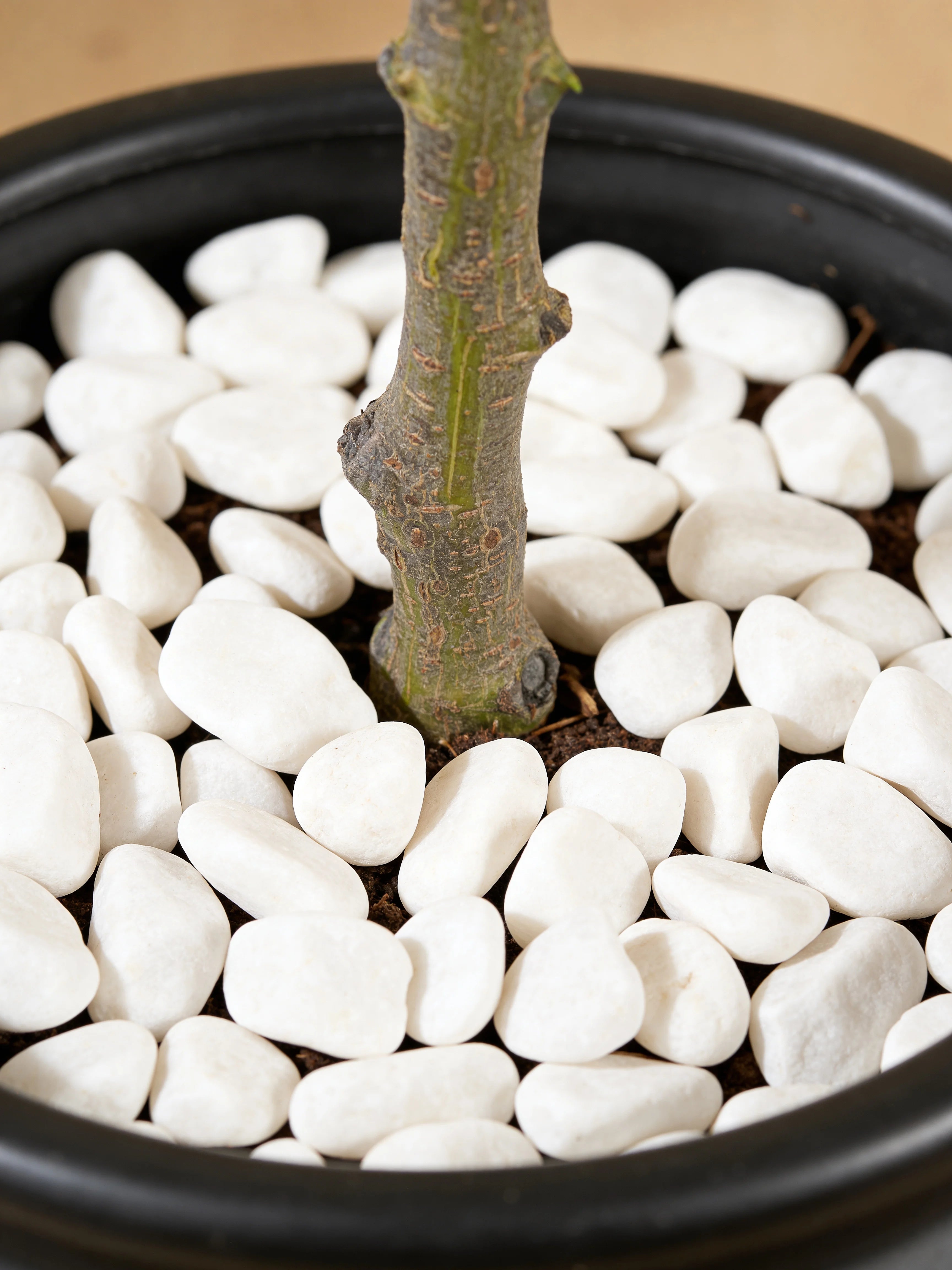 Scarlet Red Rose Faux Plant