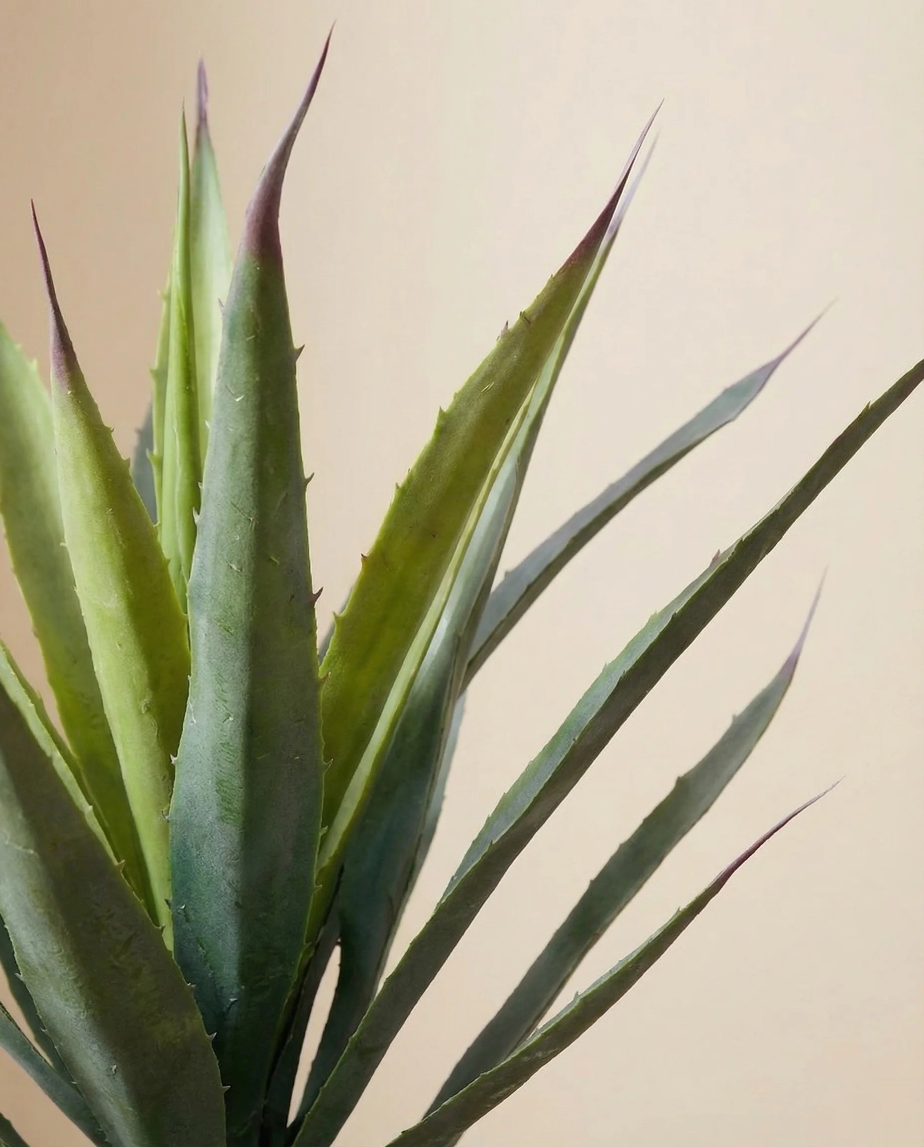 Spiked agave artificial plant, close-up detail