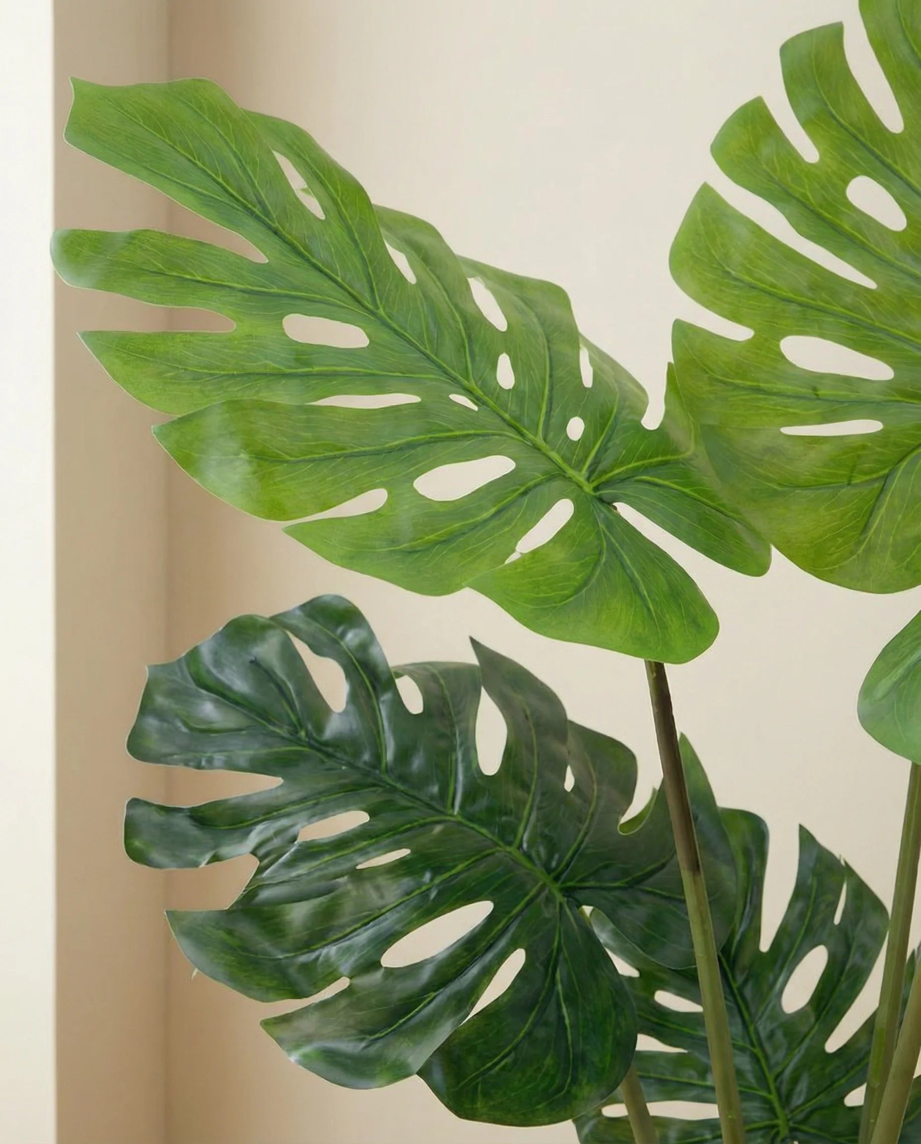 Swiss cheese monstera faux plant, close-up detail