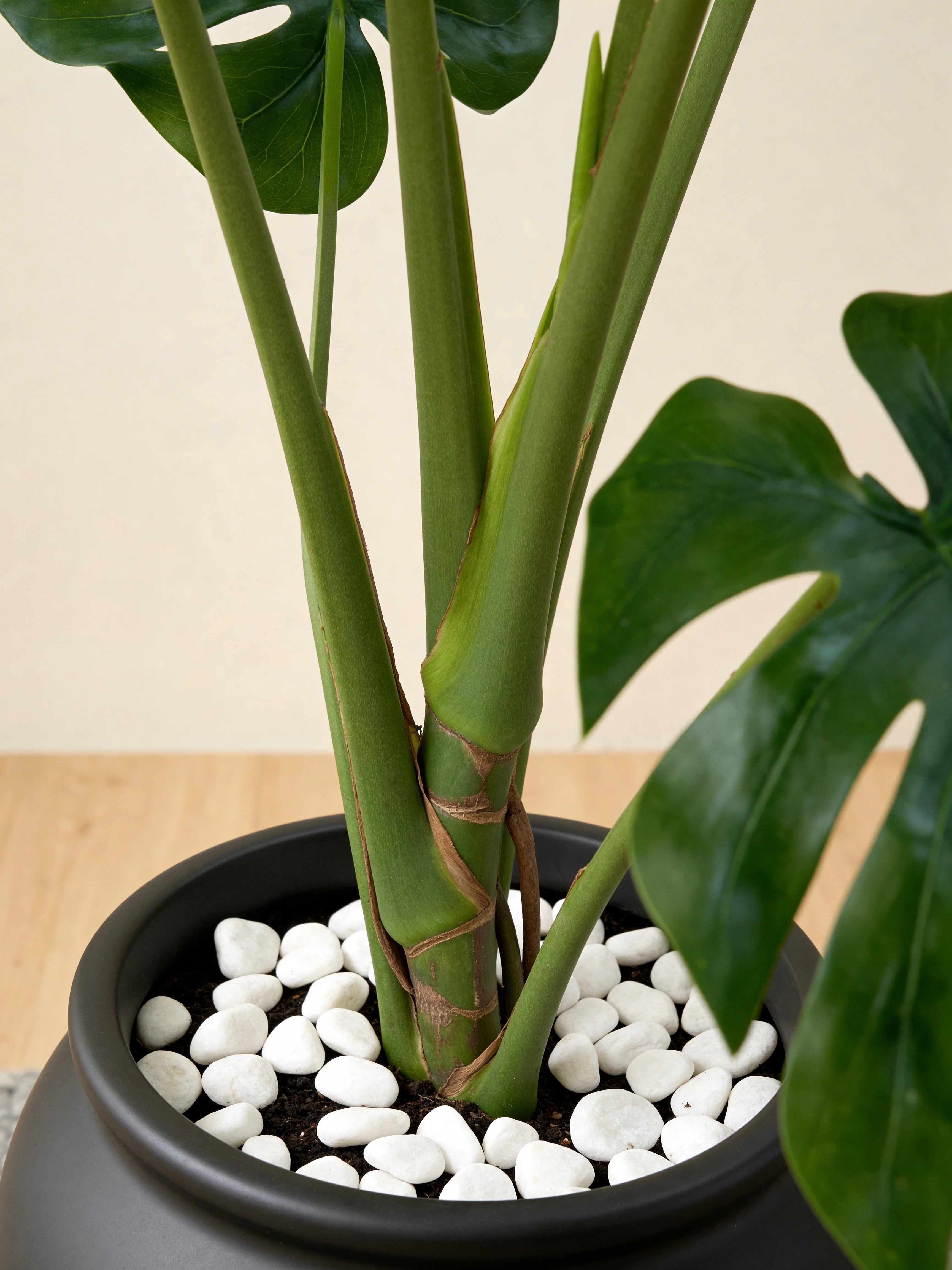 Swiss cheese monstera faux plant in a Dubai living room