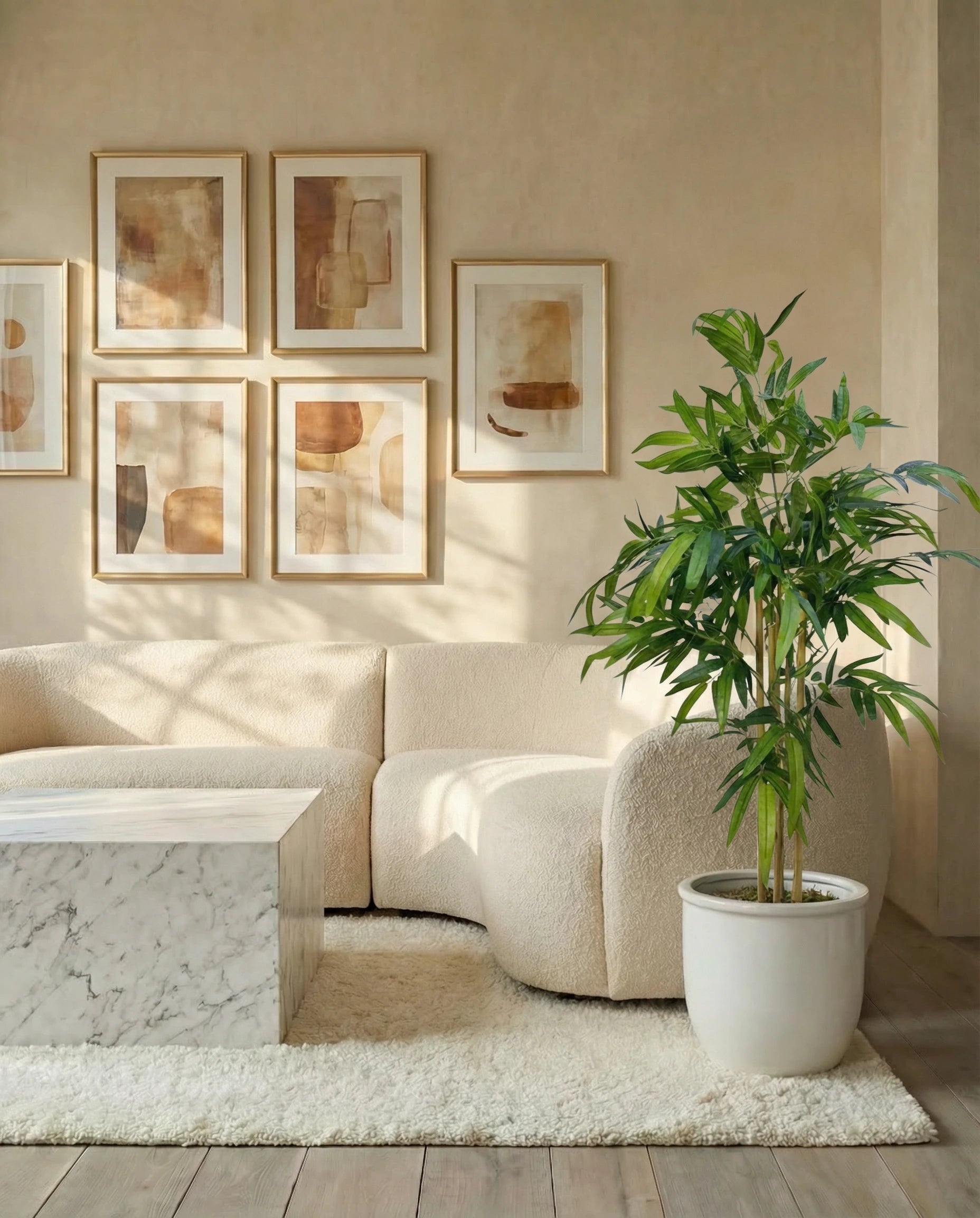 Twiggy Bambusa Bamboo Plant