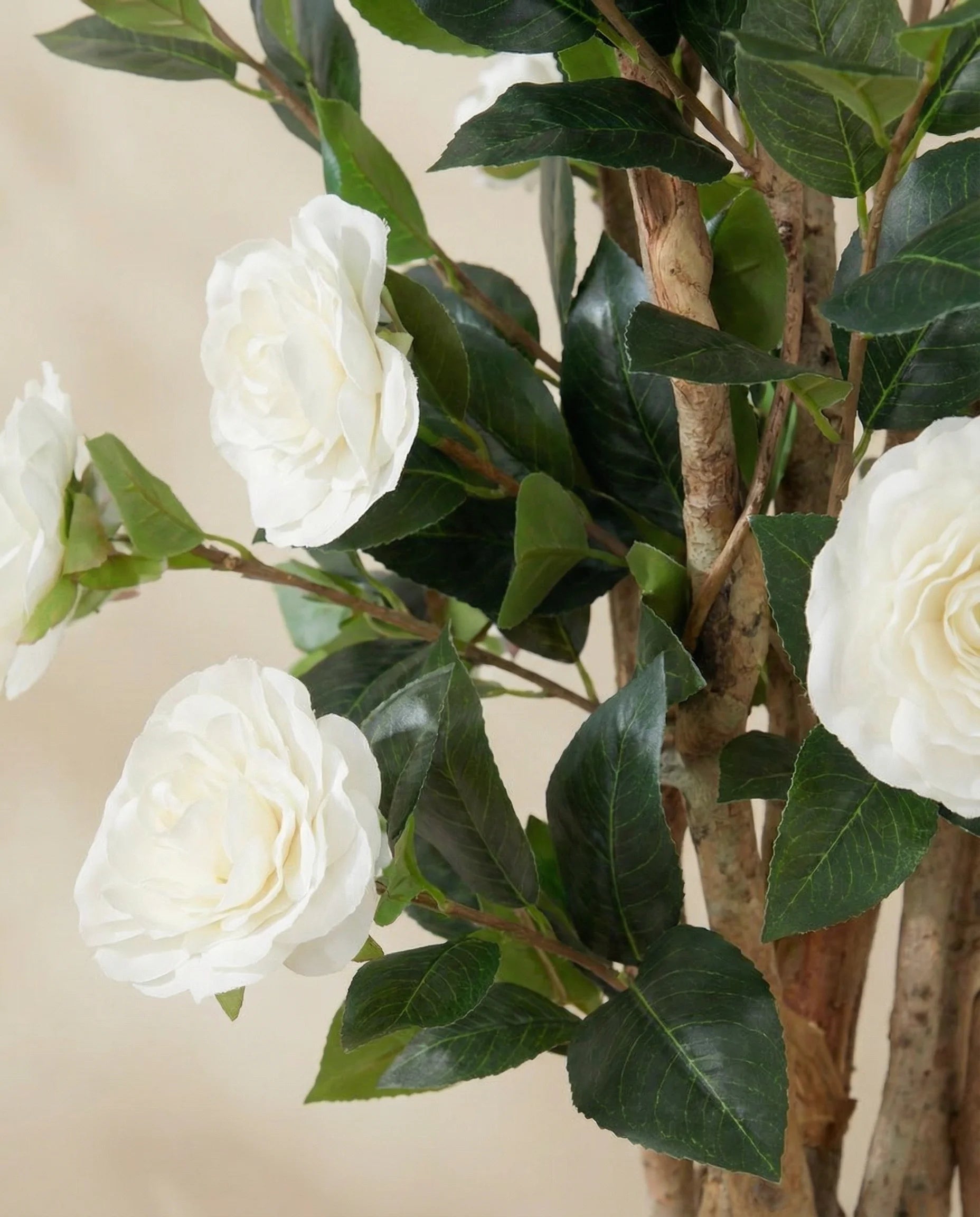 White camellia artificial flowers, close-up detail