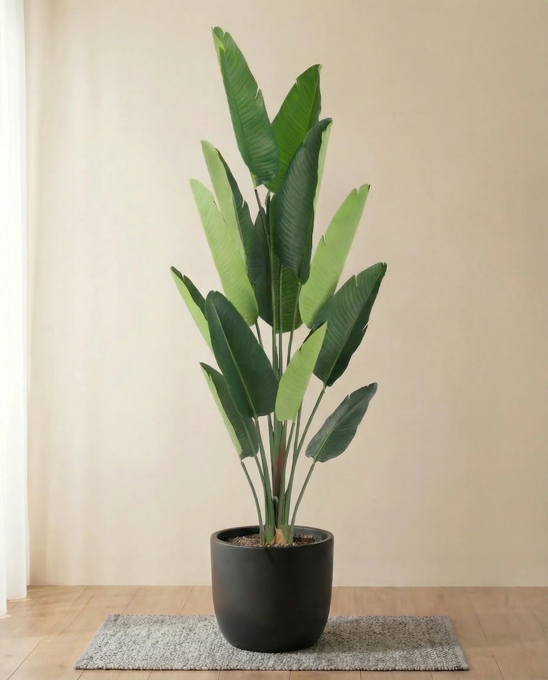 Wild Banana Artificial Plant Strelitzia Nicolai