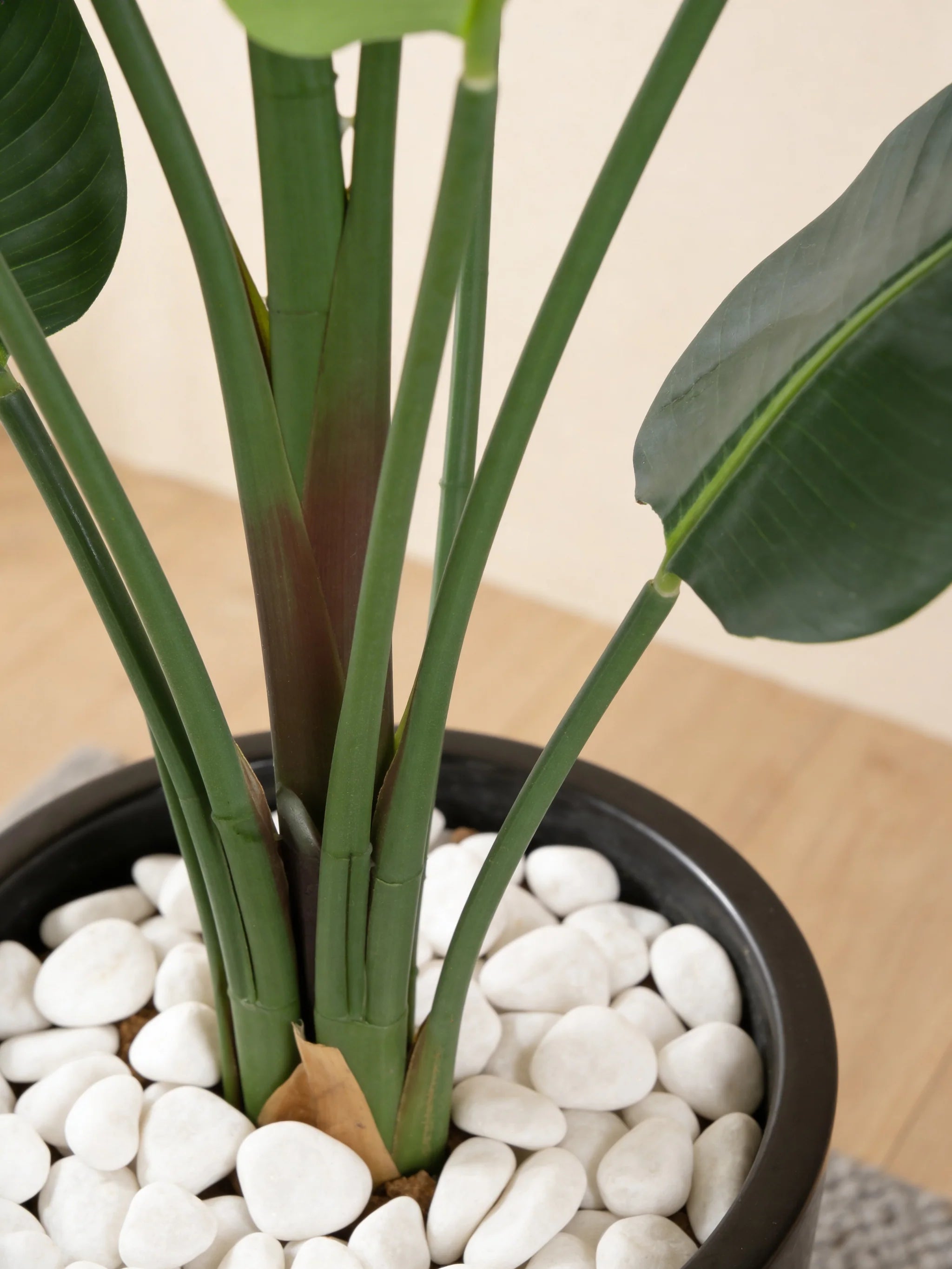 Wild banana artificial plant in a pot