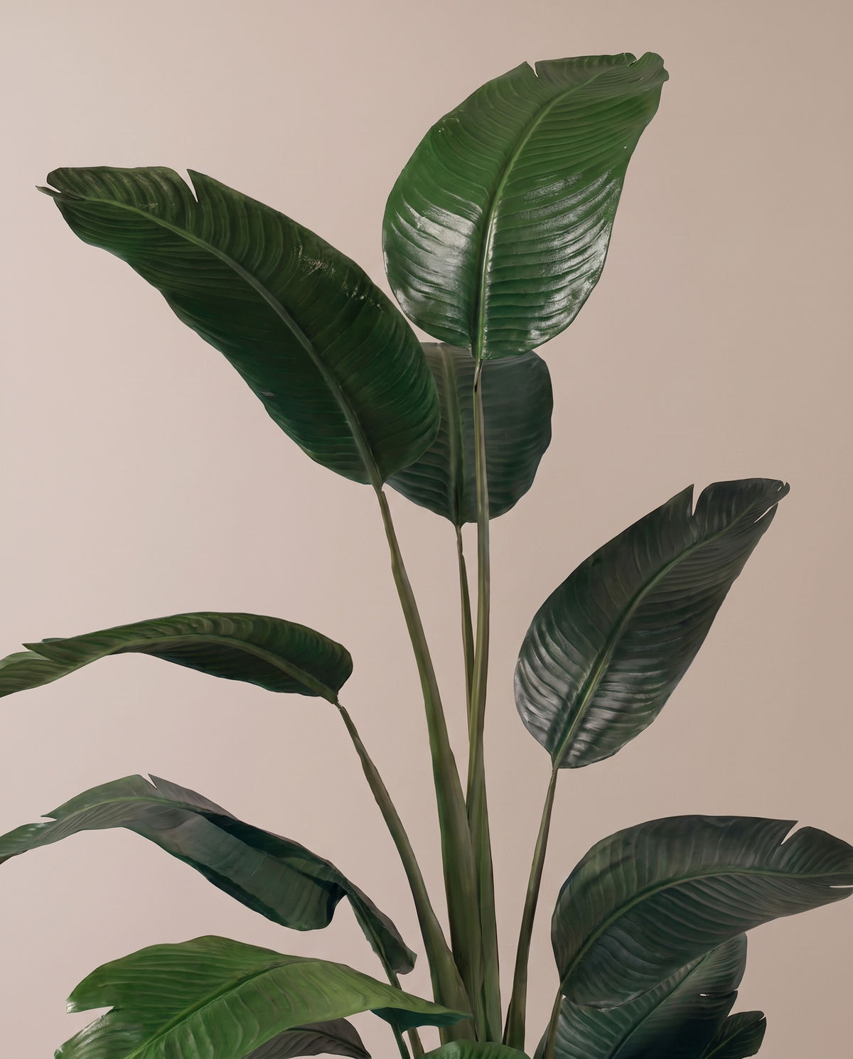 Artificial Strelitzia Nicolai Plant (Wild Banana)