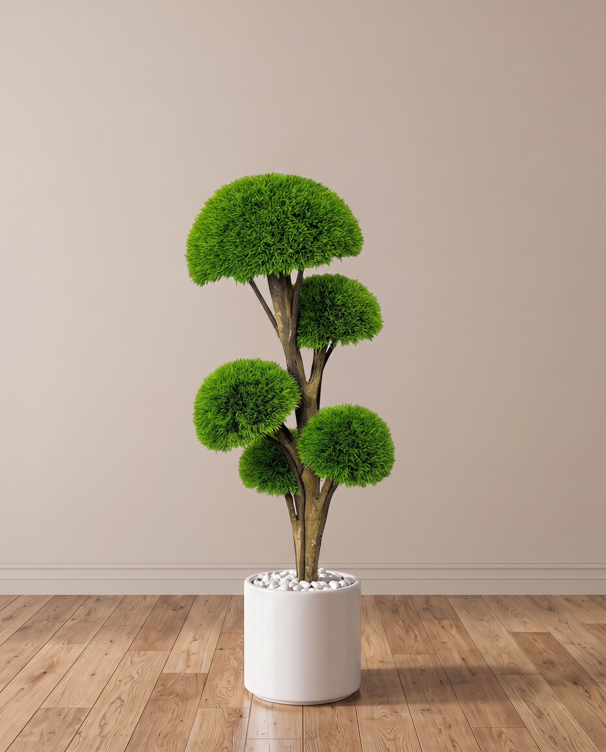 Half-Moon Boxwood Topiary Tree