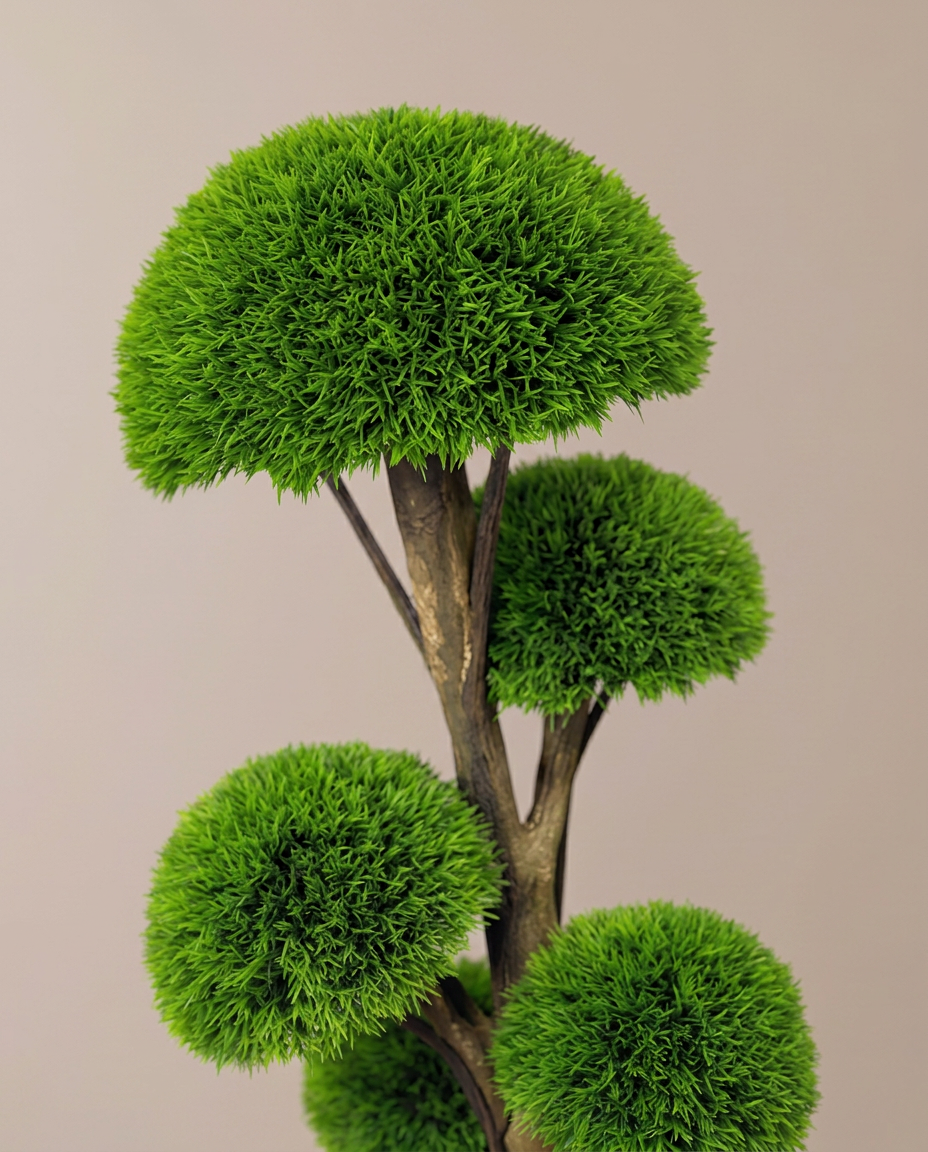 Half-Moon Boxwood Topiary Tree
