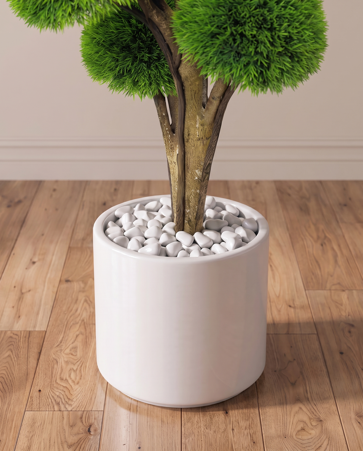 Half-Moon Boxwood Topiary Tree