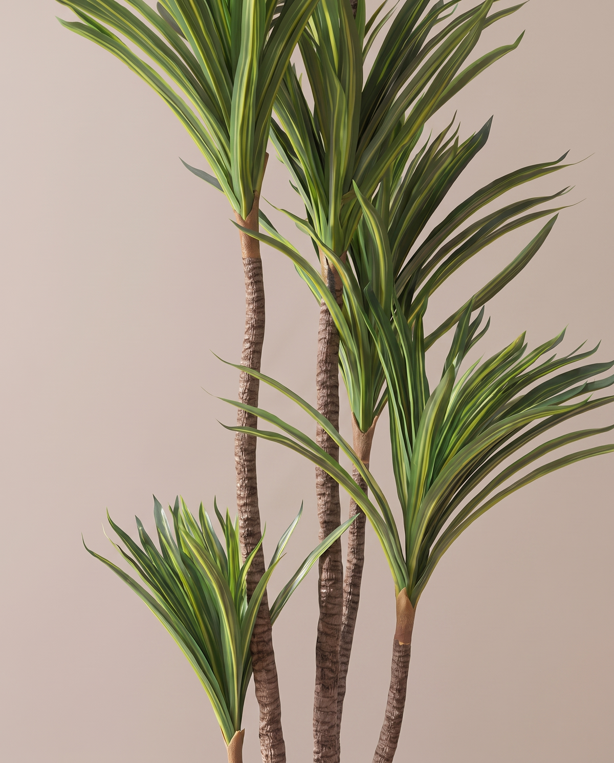 Artificial Dracaena Plant – cane and leaf detail
