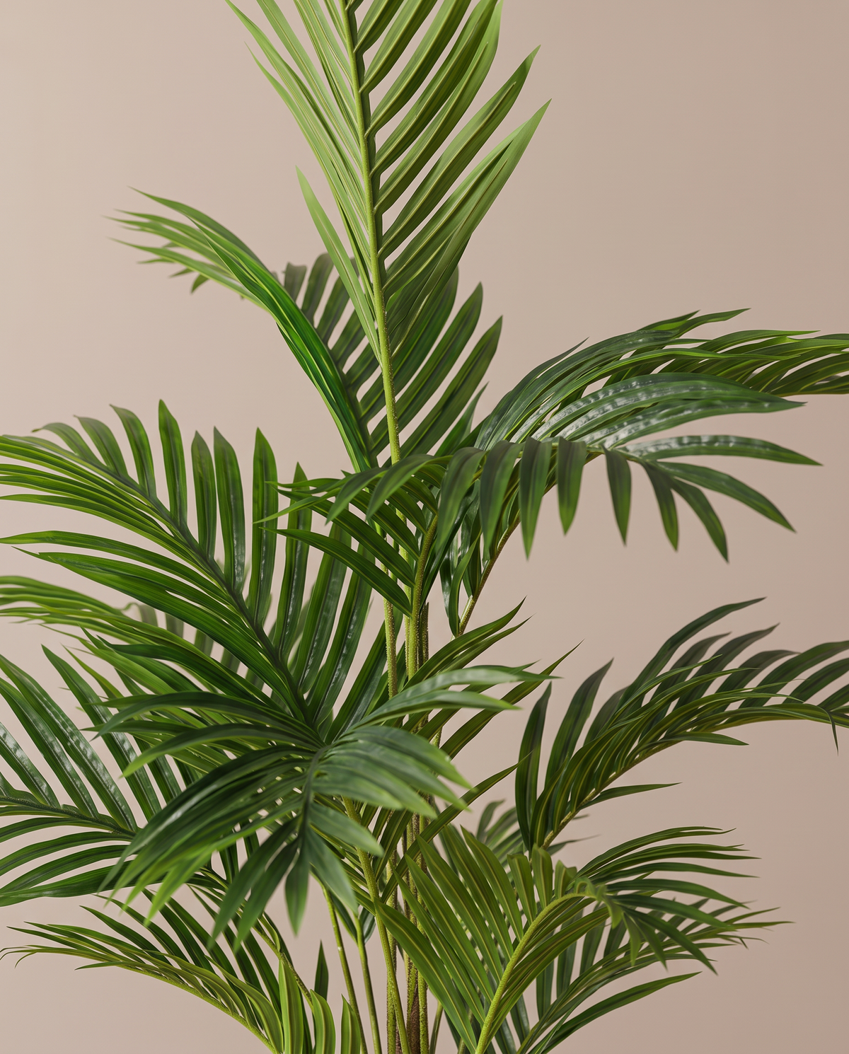 Artificial Cycas Plant – foliage detail