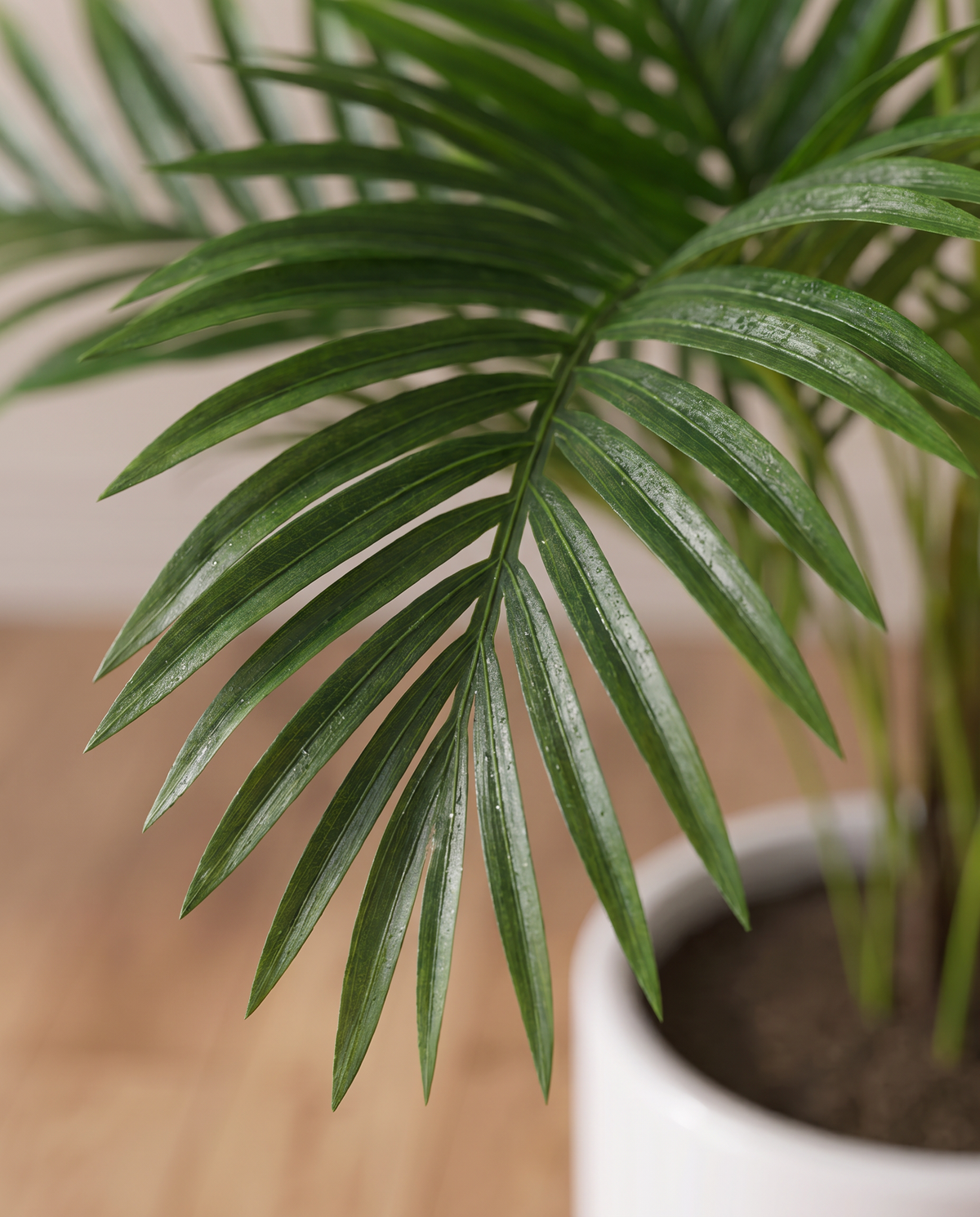 Artificial Cycas Plant – frond close-up