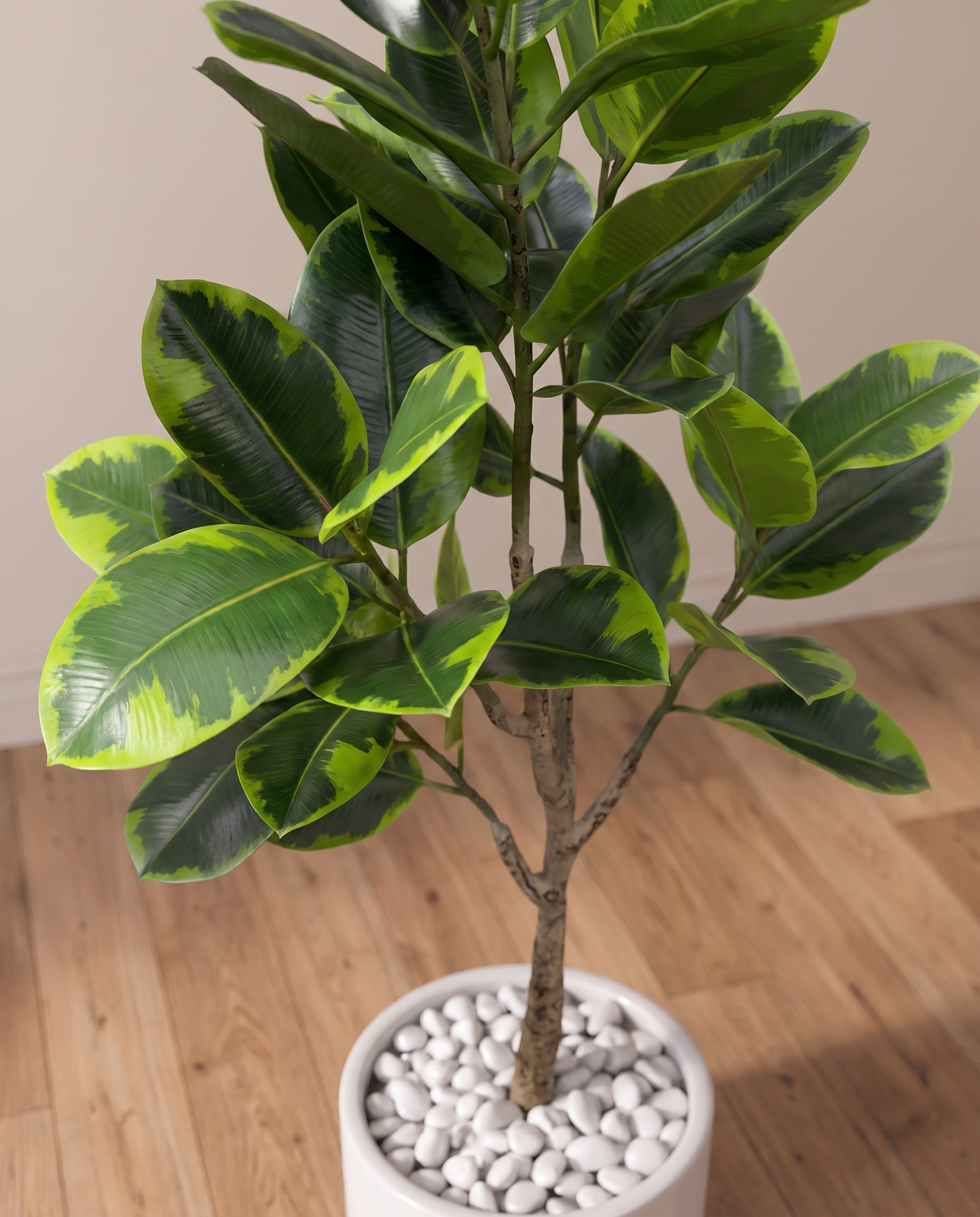 Artificial Fiddle Leaf Fig Tree Ficus Lyrata