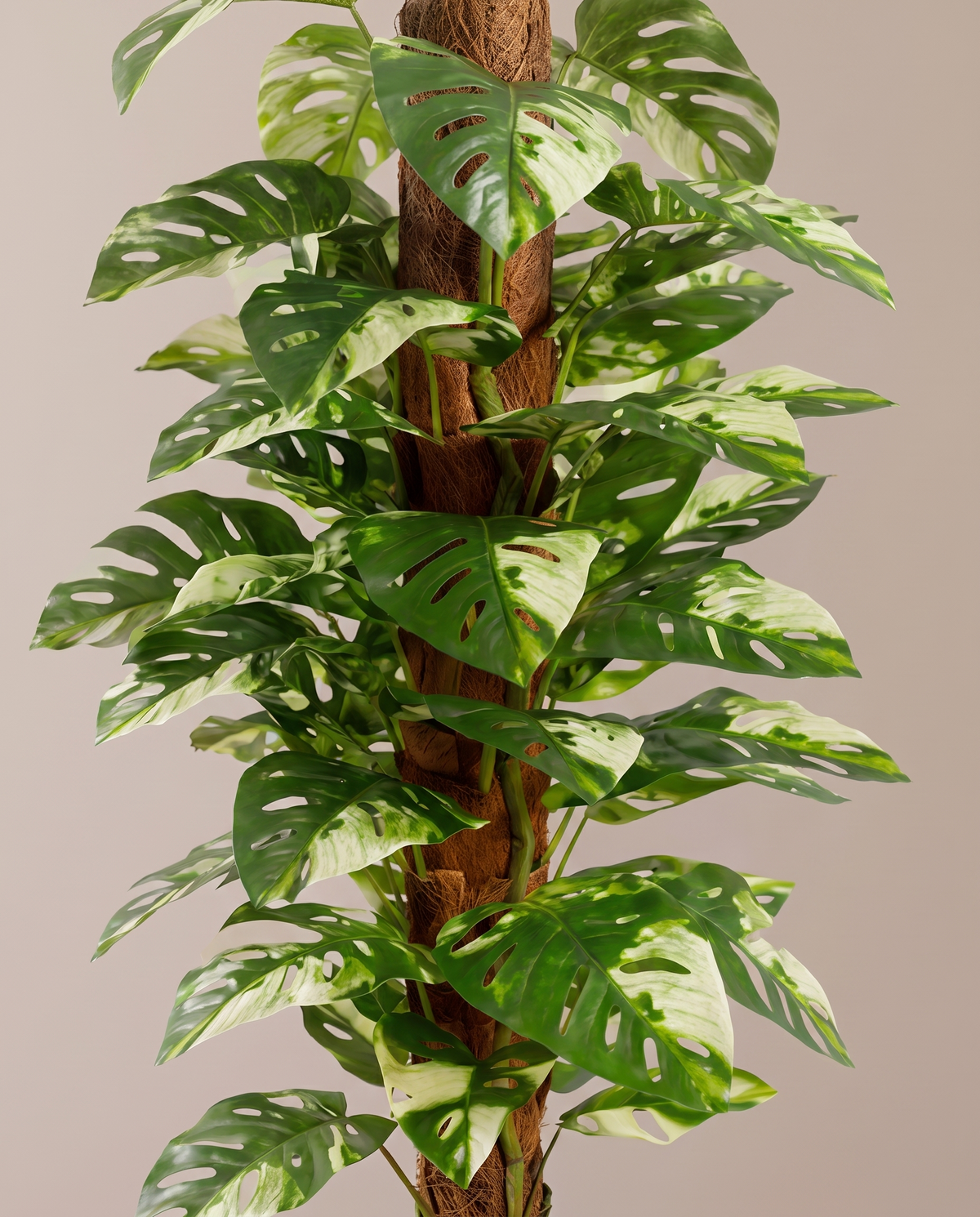 Giant Monstera Artificial Plant with Variegated Leaves