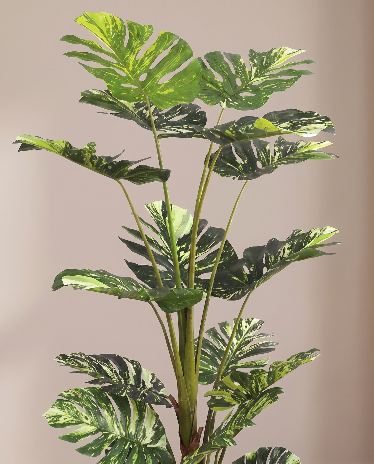 Monstera Borsigiana Variegata Artificial Plant
