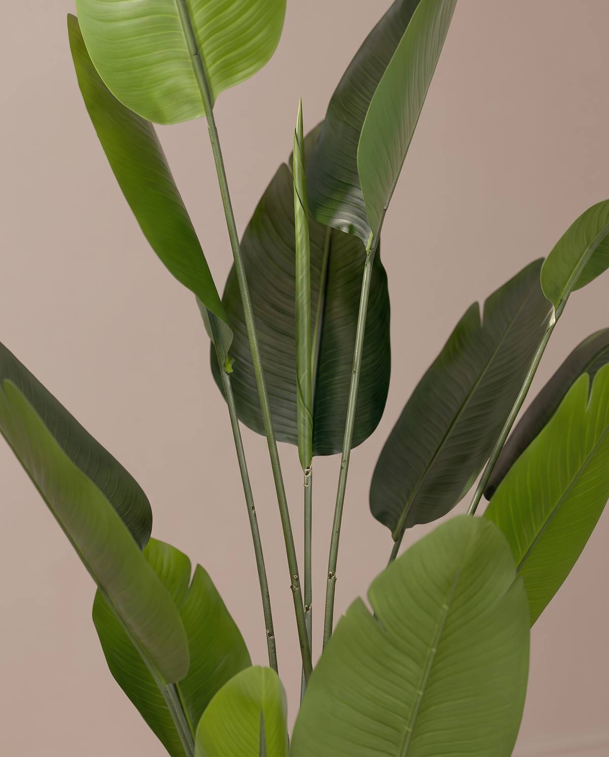 Artificial Bird of Paradise Tree – paddle leaf detail