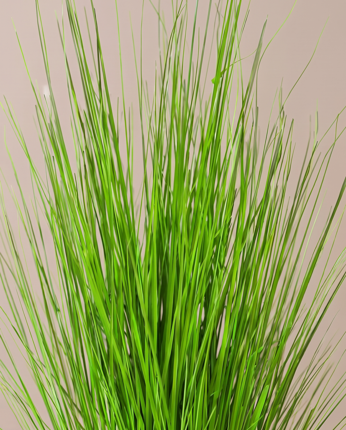 Faux Brushed Grass Plant