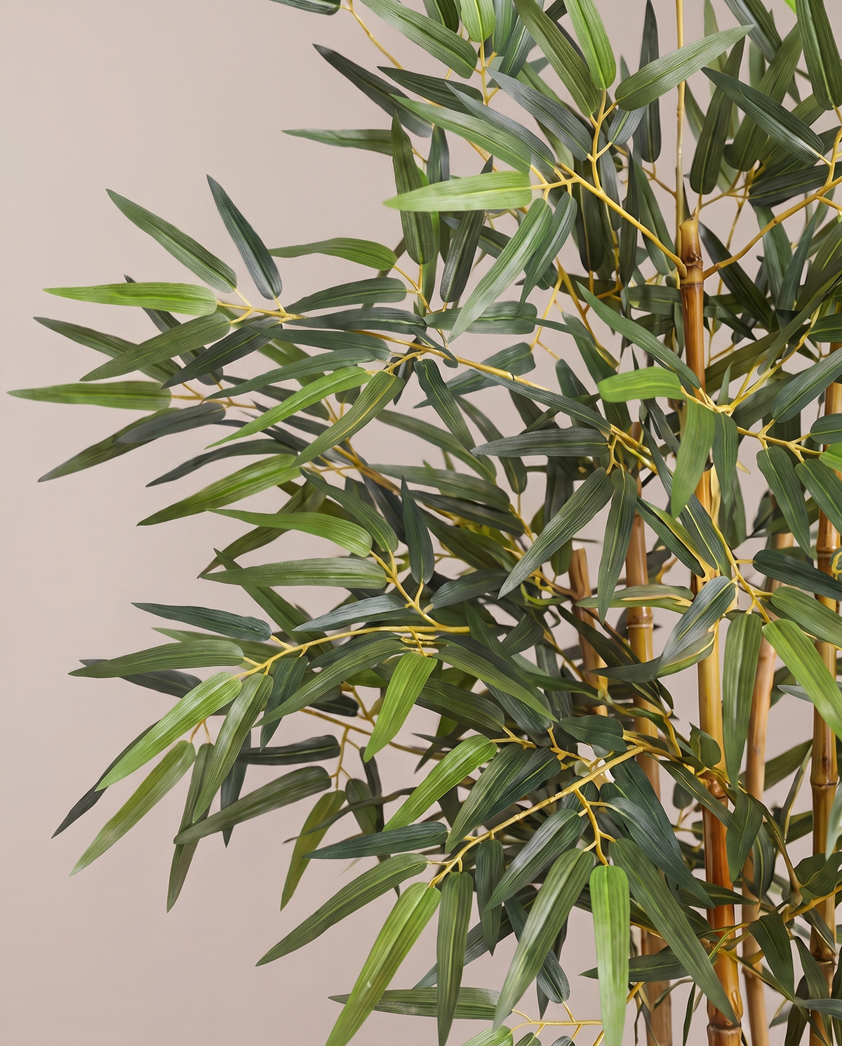 Artificial Bambusa Bamboo - Pale Stemmed