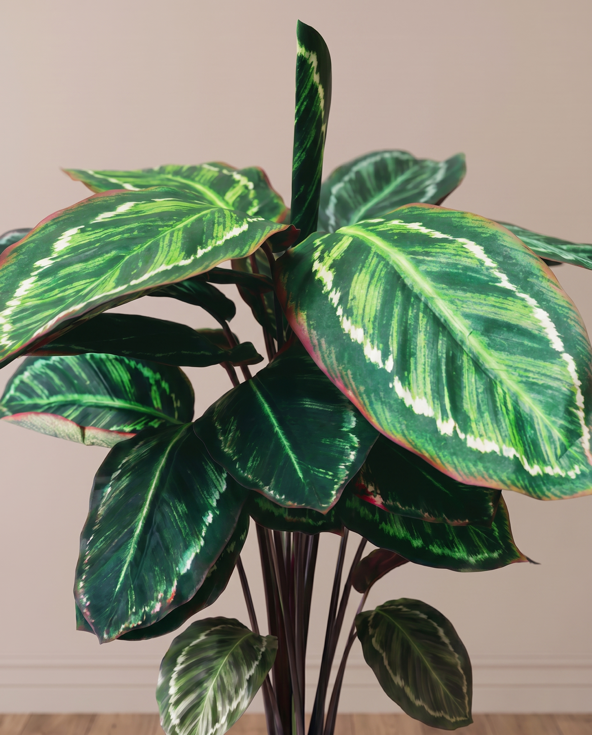 Calathea Roseopicta Artificial Plant – patterned leaf detail