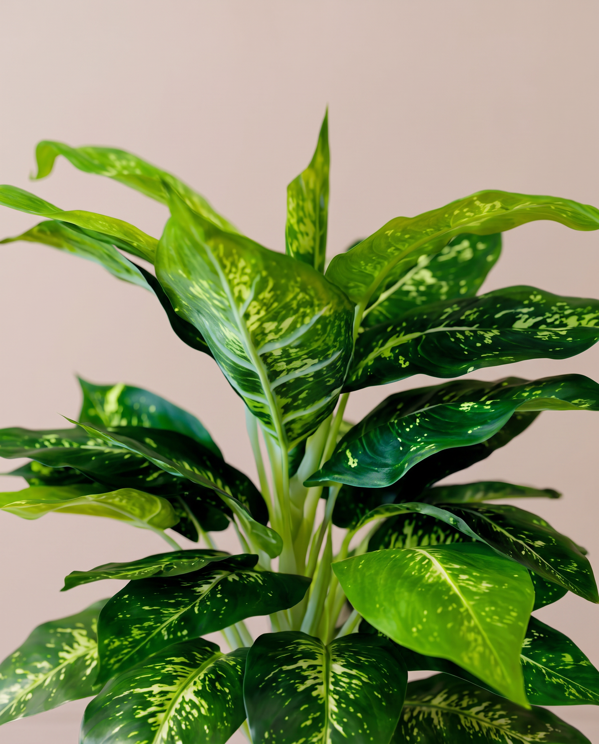Lush Artificial Dieffenbachia Plant – variegated foliage detail