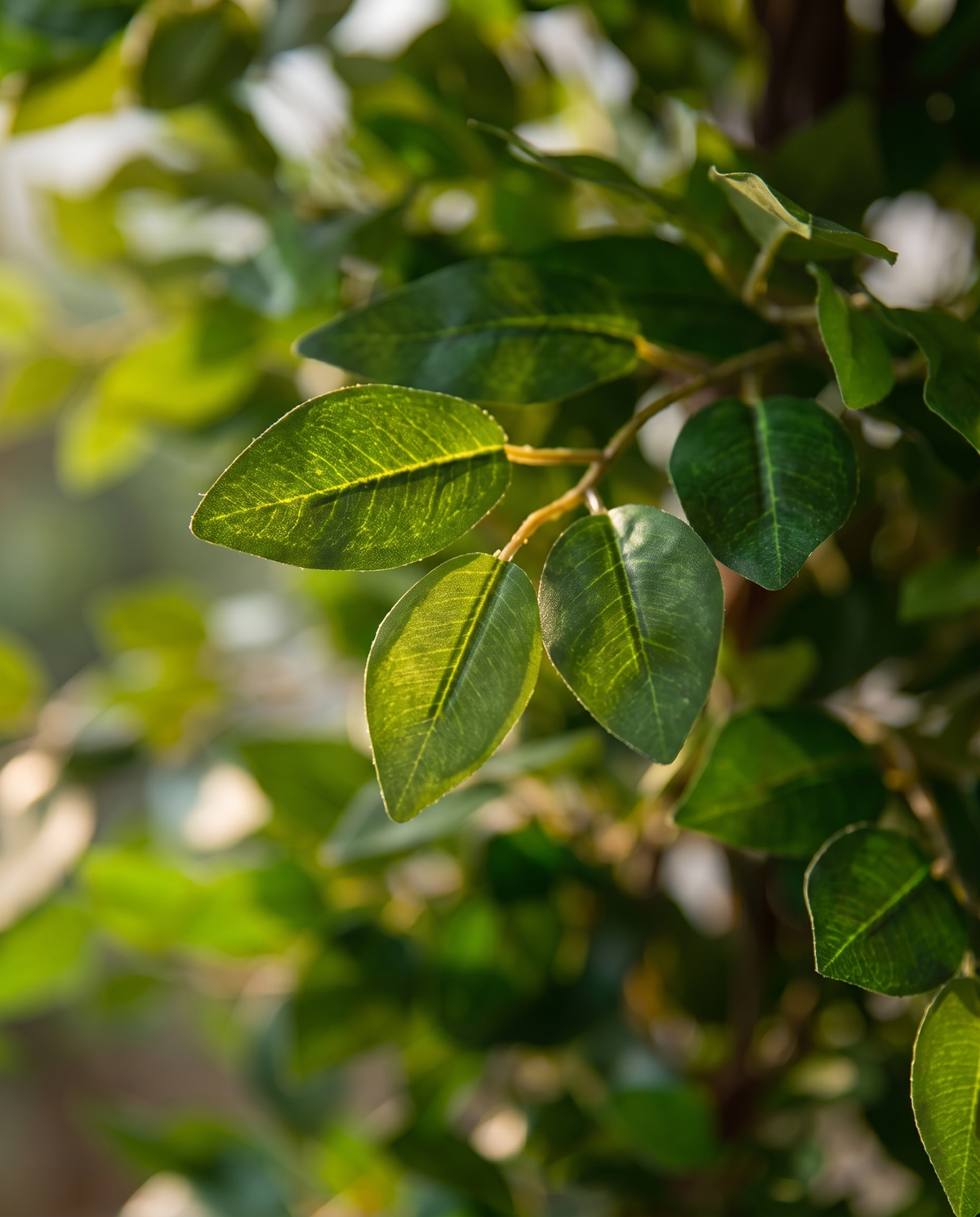 Elegant Artificial Ficus Benjamina Tree
