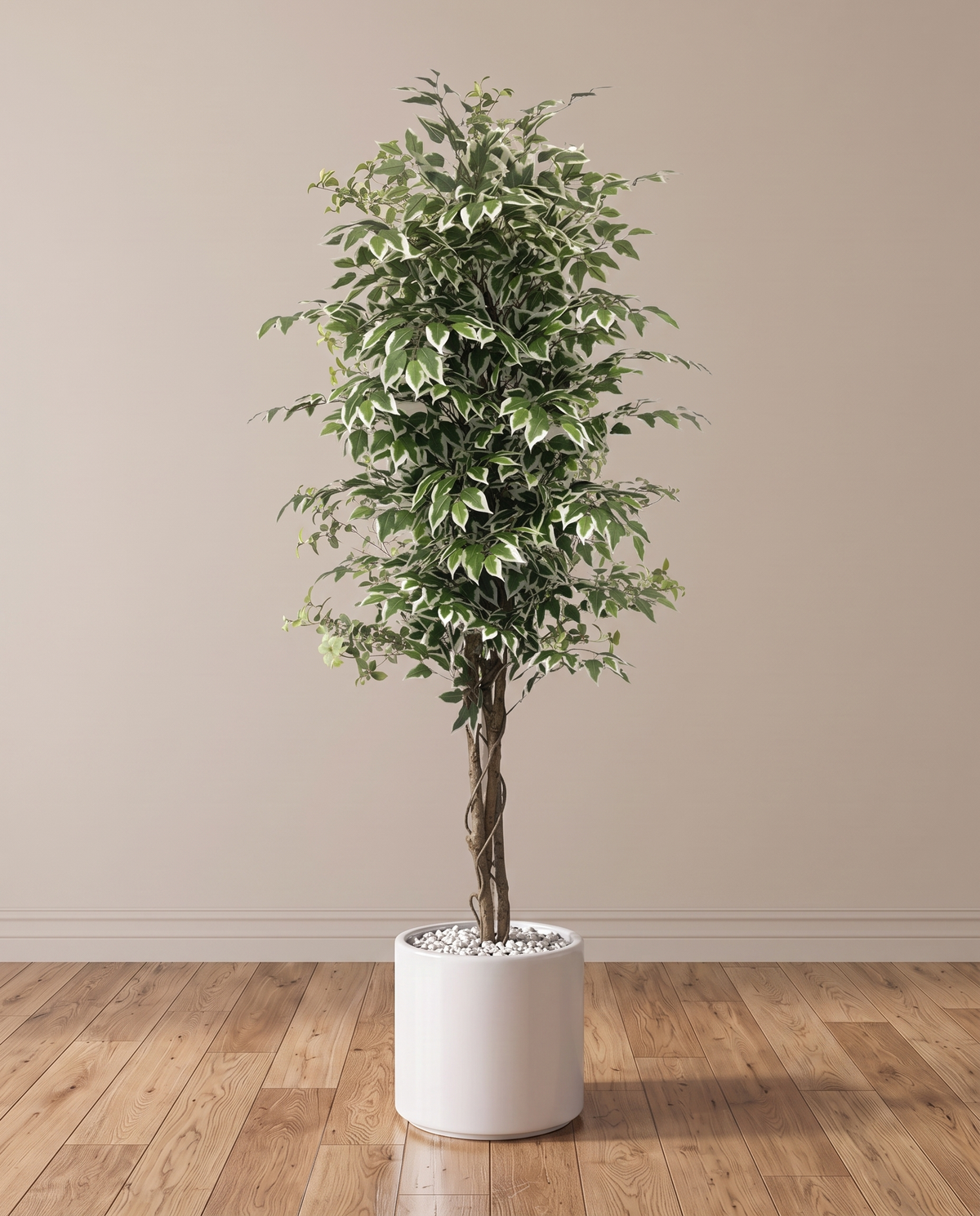 Artificial Ficus Benjamina Tree with Variegated Leaves