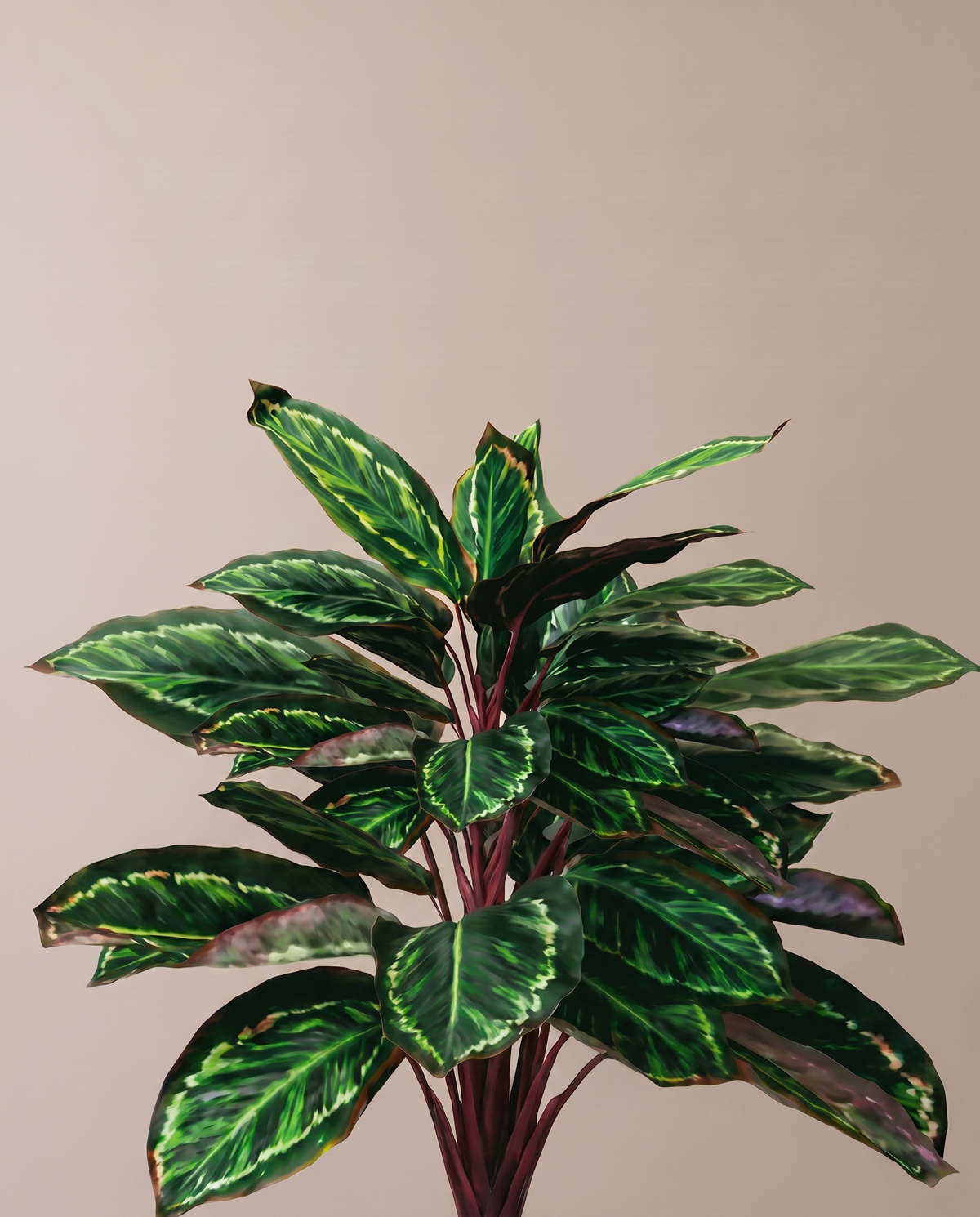 Medallion Rose Painted Calathea Artificial Plant – painted leaf detail