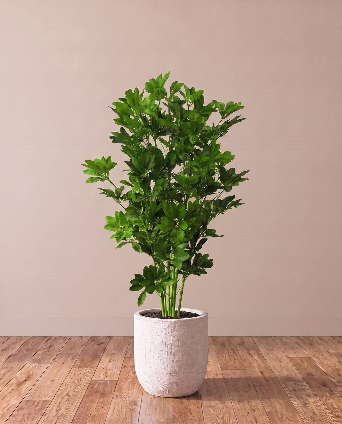 Eva Schefflera Artificial Tree