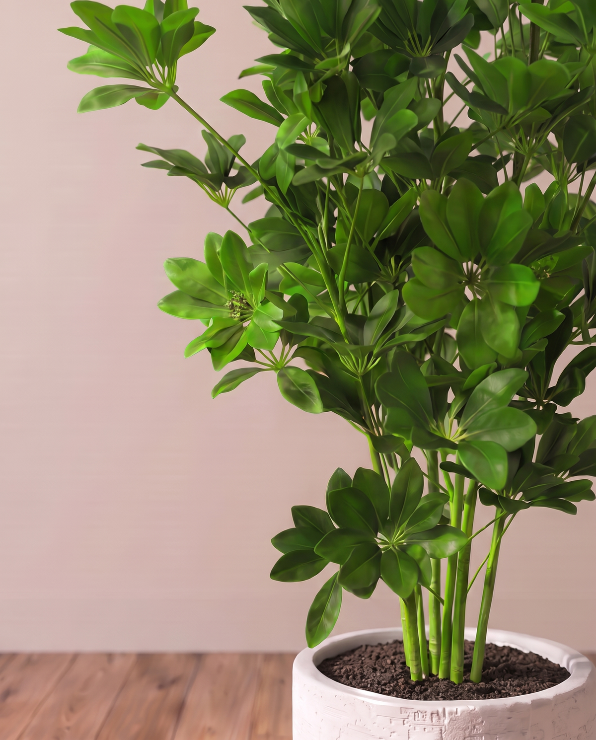 Eva Schefflera Artificial Tree