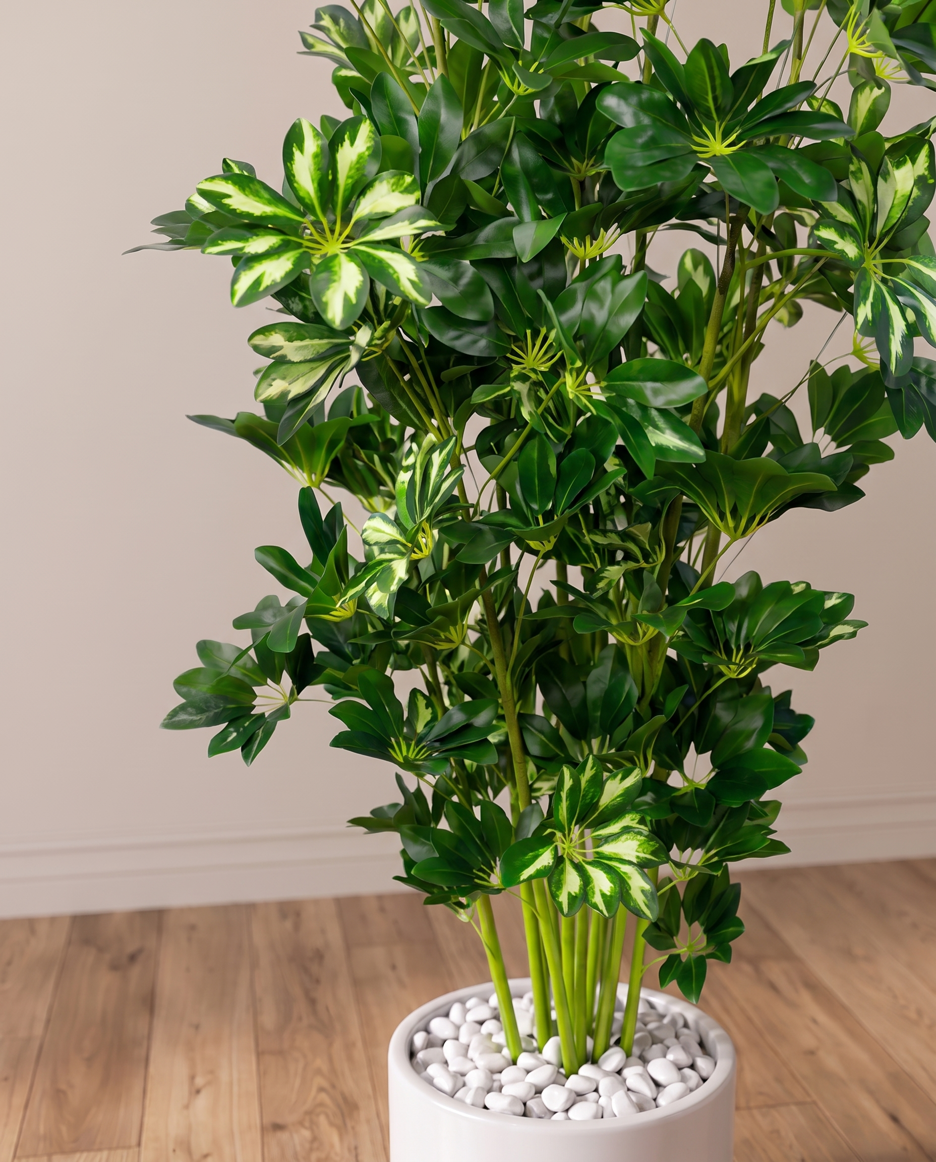 Eva Schefflera Artificial Tree with Variegated Leaves
