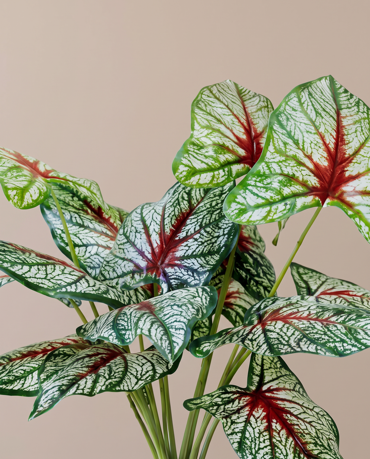 Red & Green Leaf Caladium Artificial Plant – red-veined leaf detail
