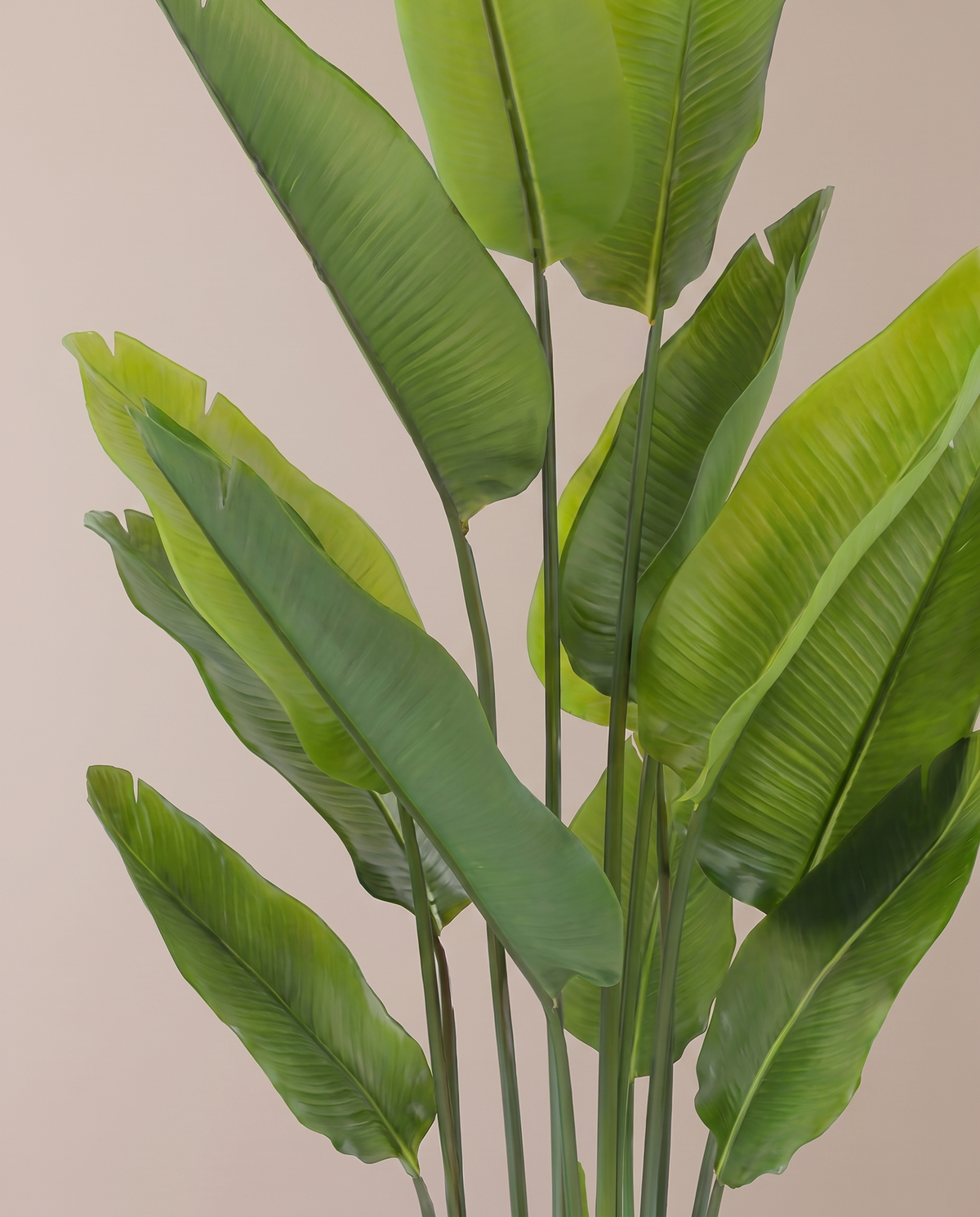 Artificial Ravenala Palm Plant