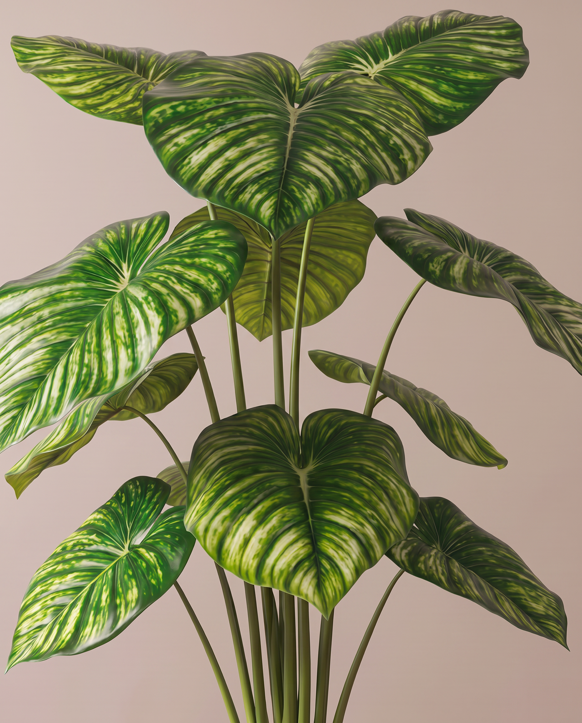 Artificial Calathea Orbifolia Plant – leaf close-up