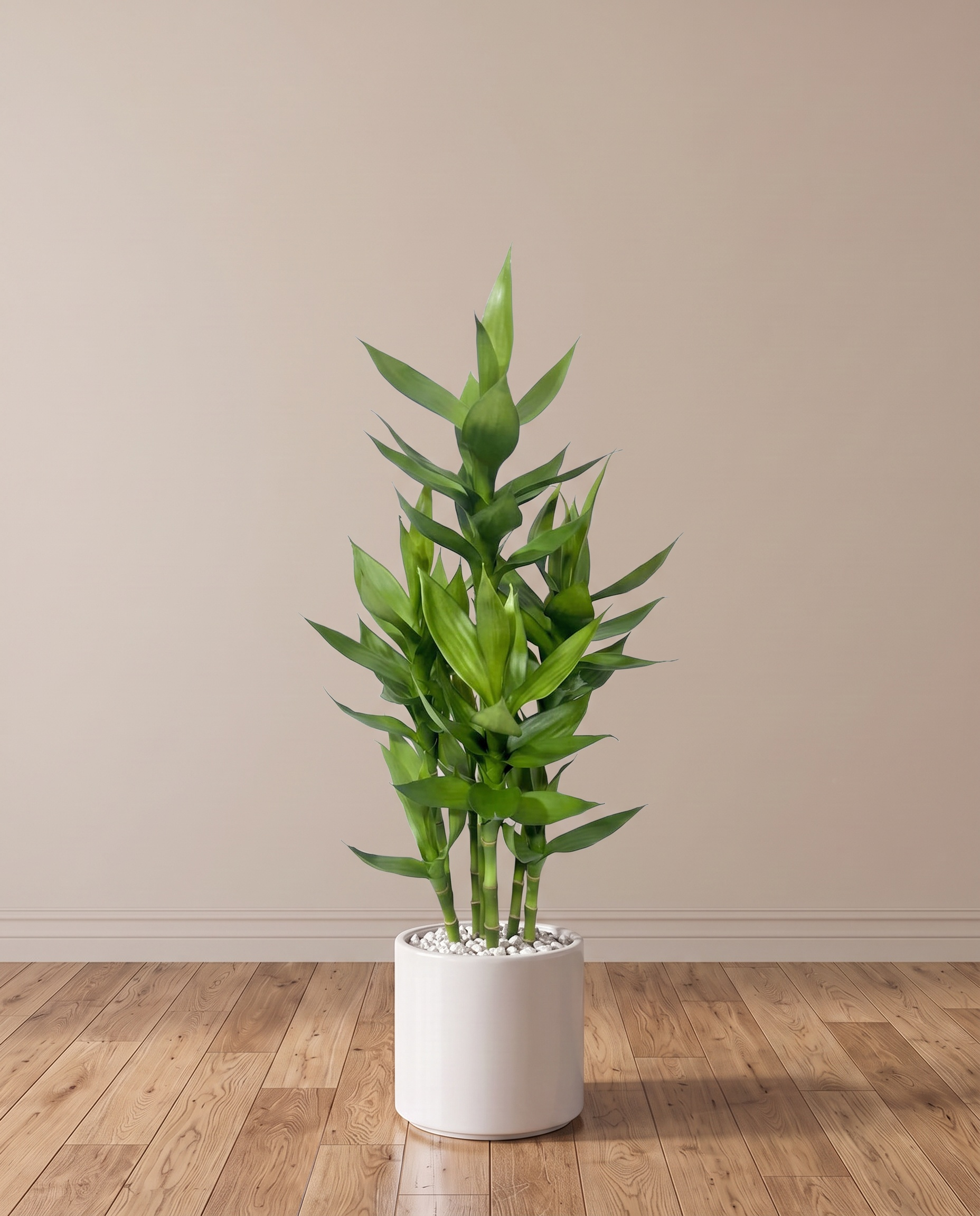 Artificial Lucky Bamboo Plant