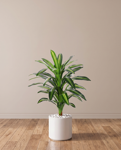 Artificial Plants