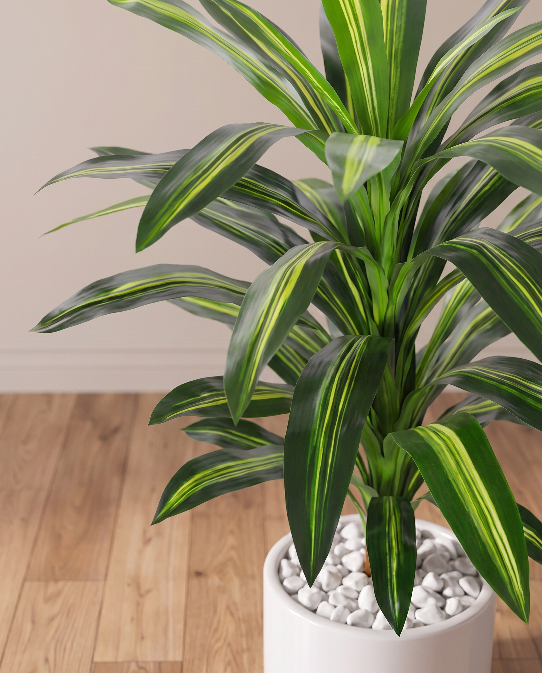 Dracaena Lisa Artificial Plant