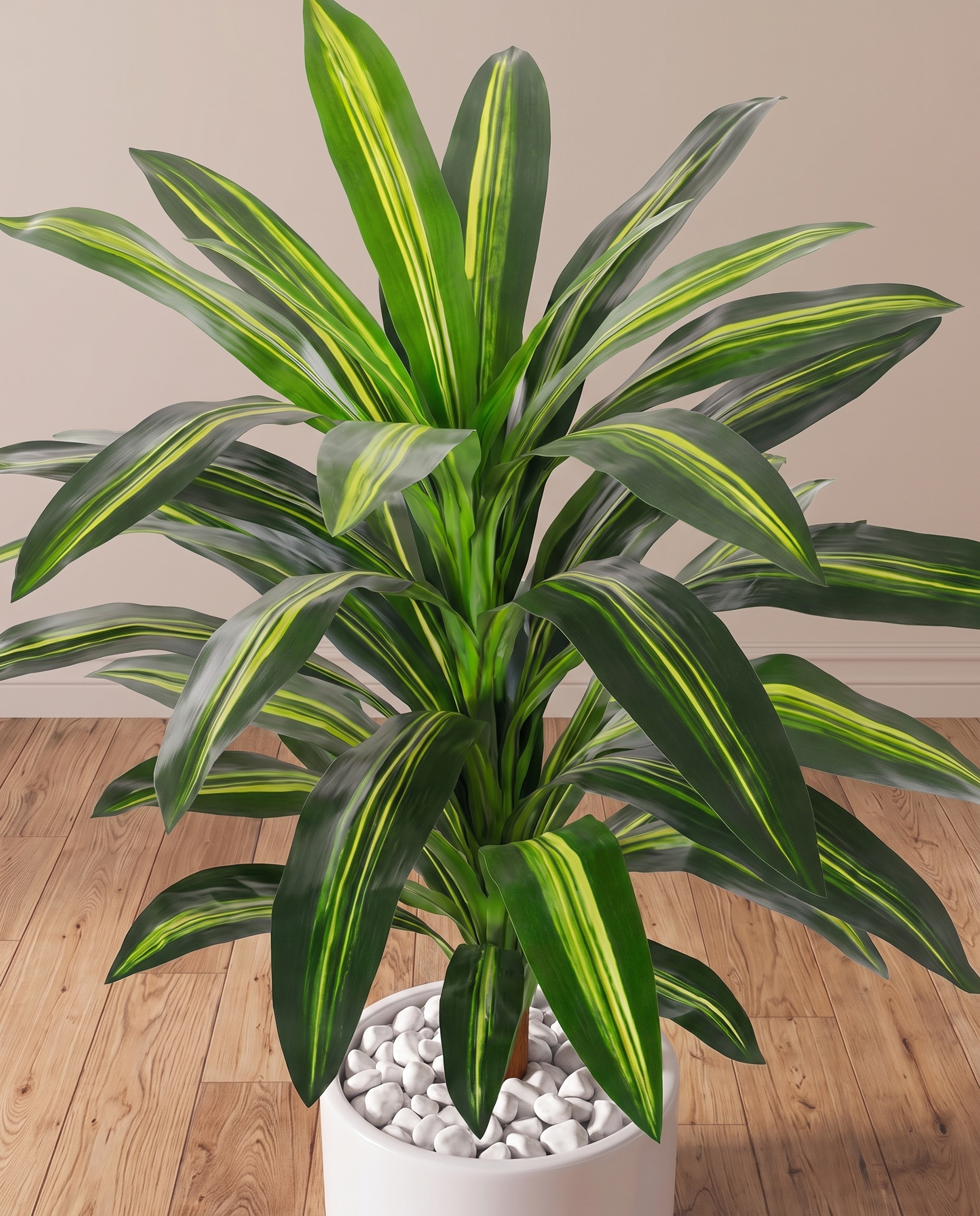 Dracaena Lisa Artificial Plant