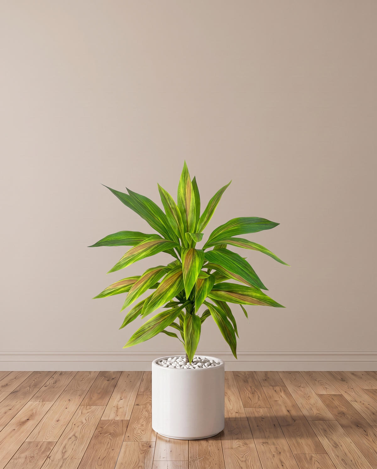 Artificial Dracaena Plant with Coloured Leaves