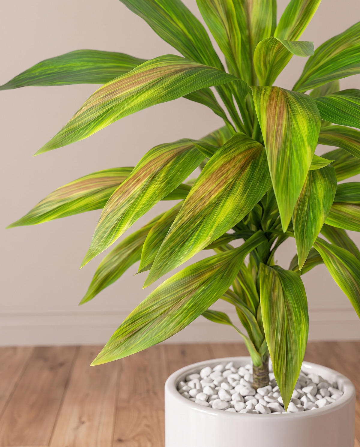 Artificial Dracaena Plant with Coloured Leaves
