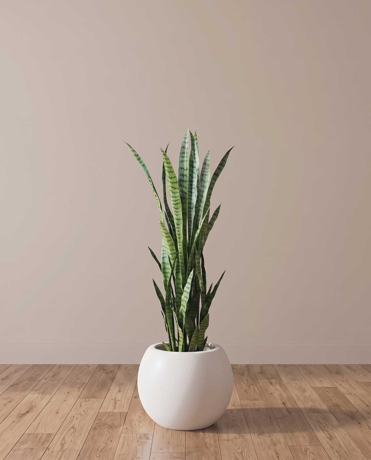 Artificial Sansevieria Snake Plant 150 cm – full view in a neutral interior